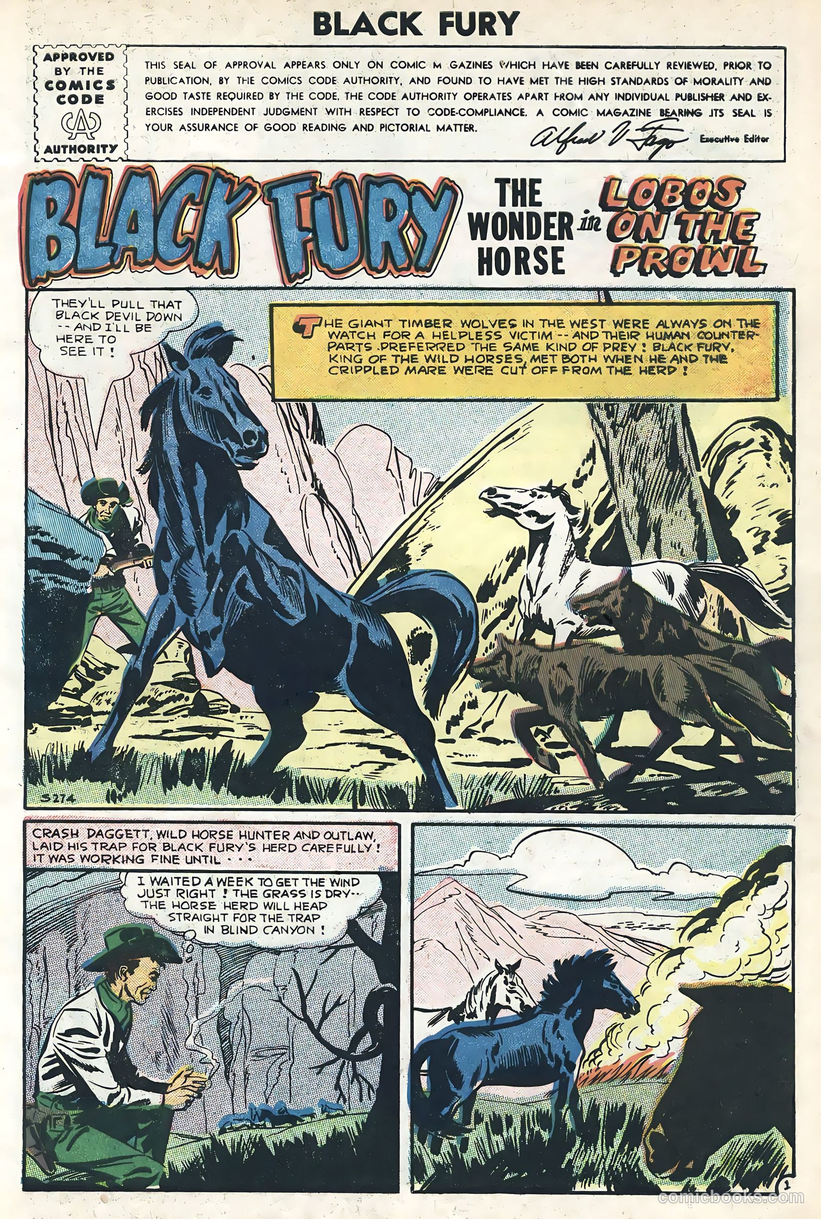 Black Fury #6 — page 3 of 36