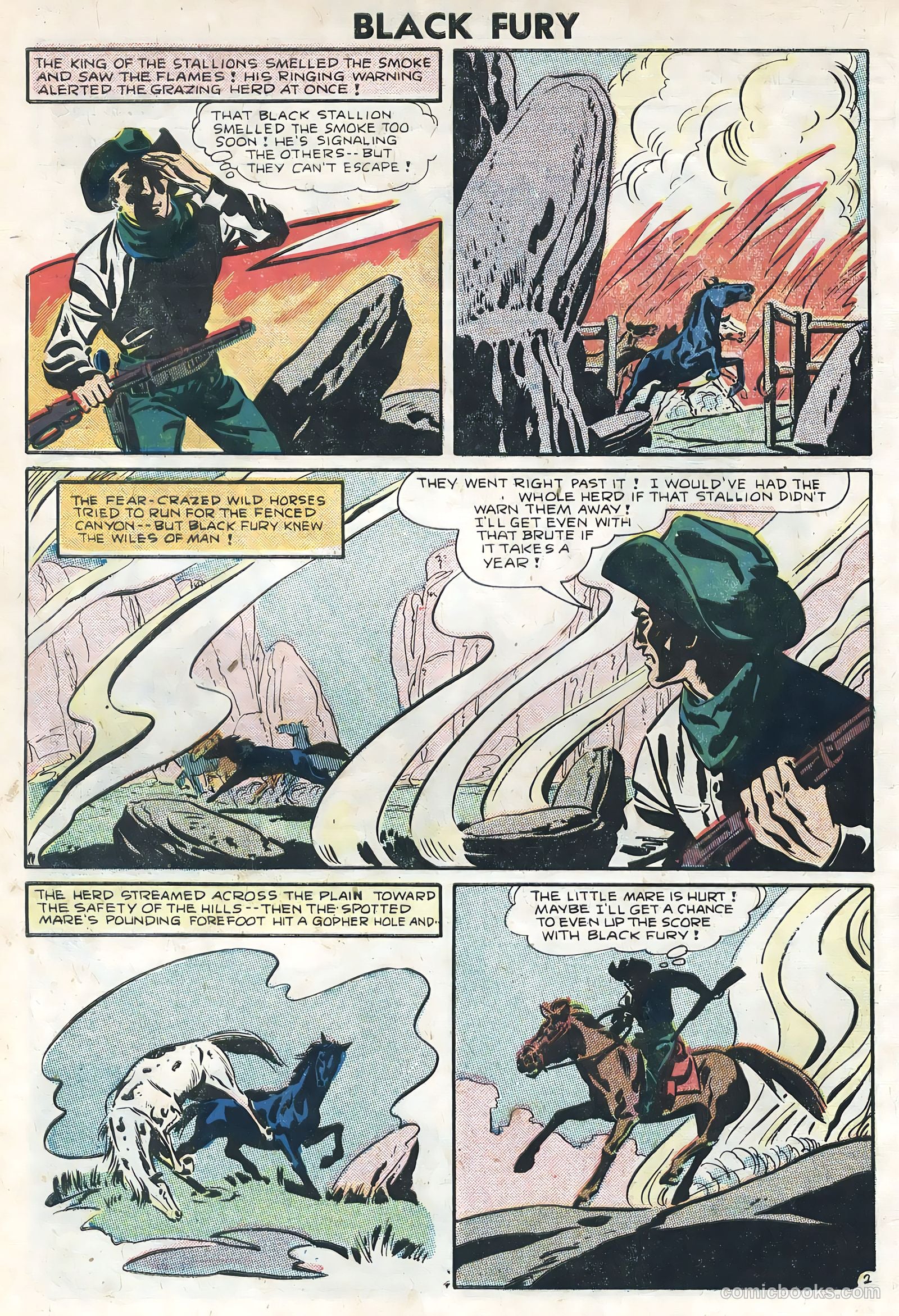 Black Fury #6 — page 4 of 36