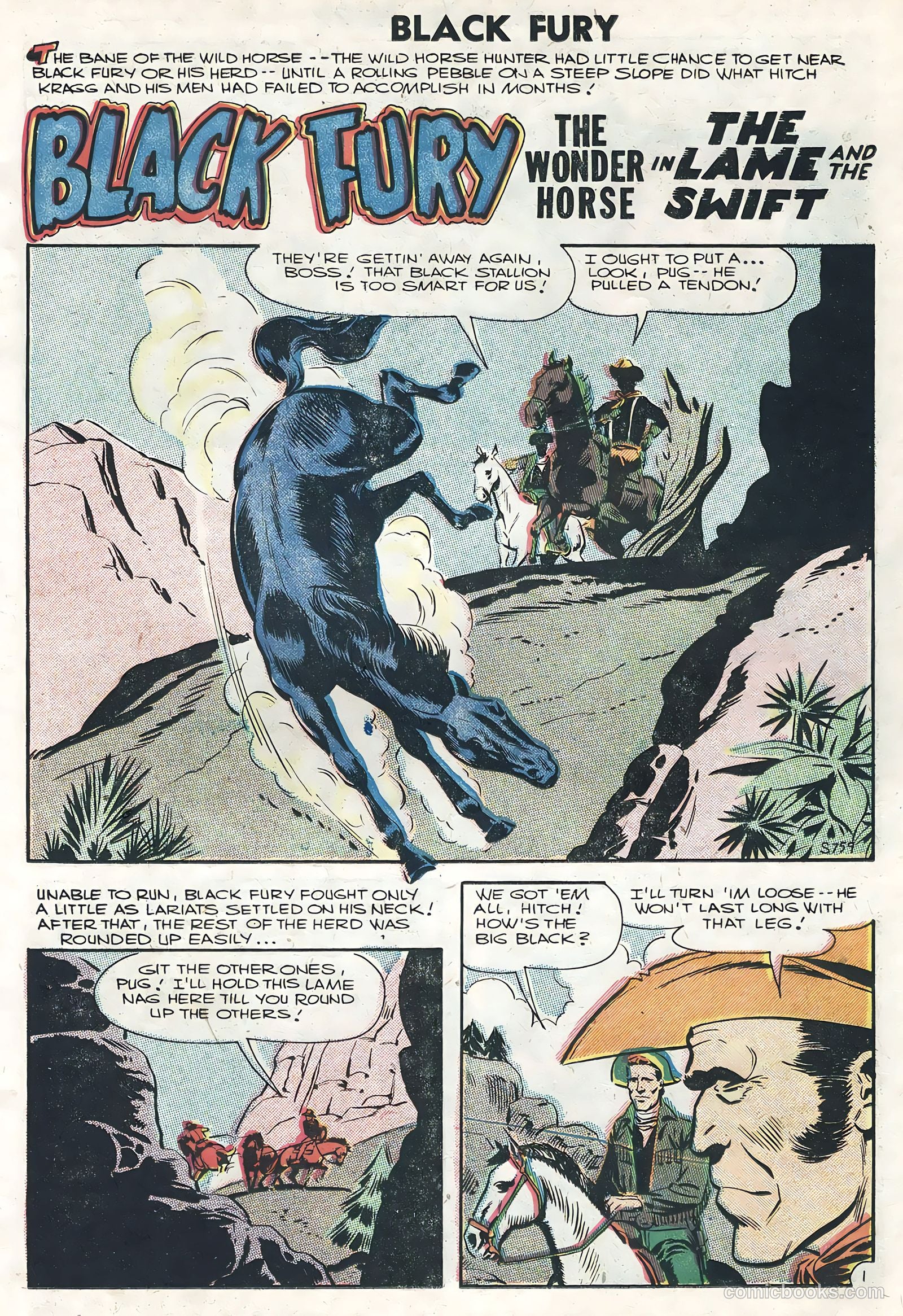 Black Fury #6 — page 11 of 36