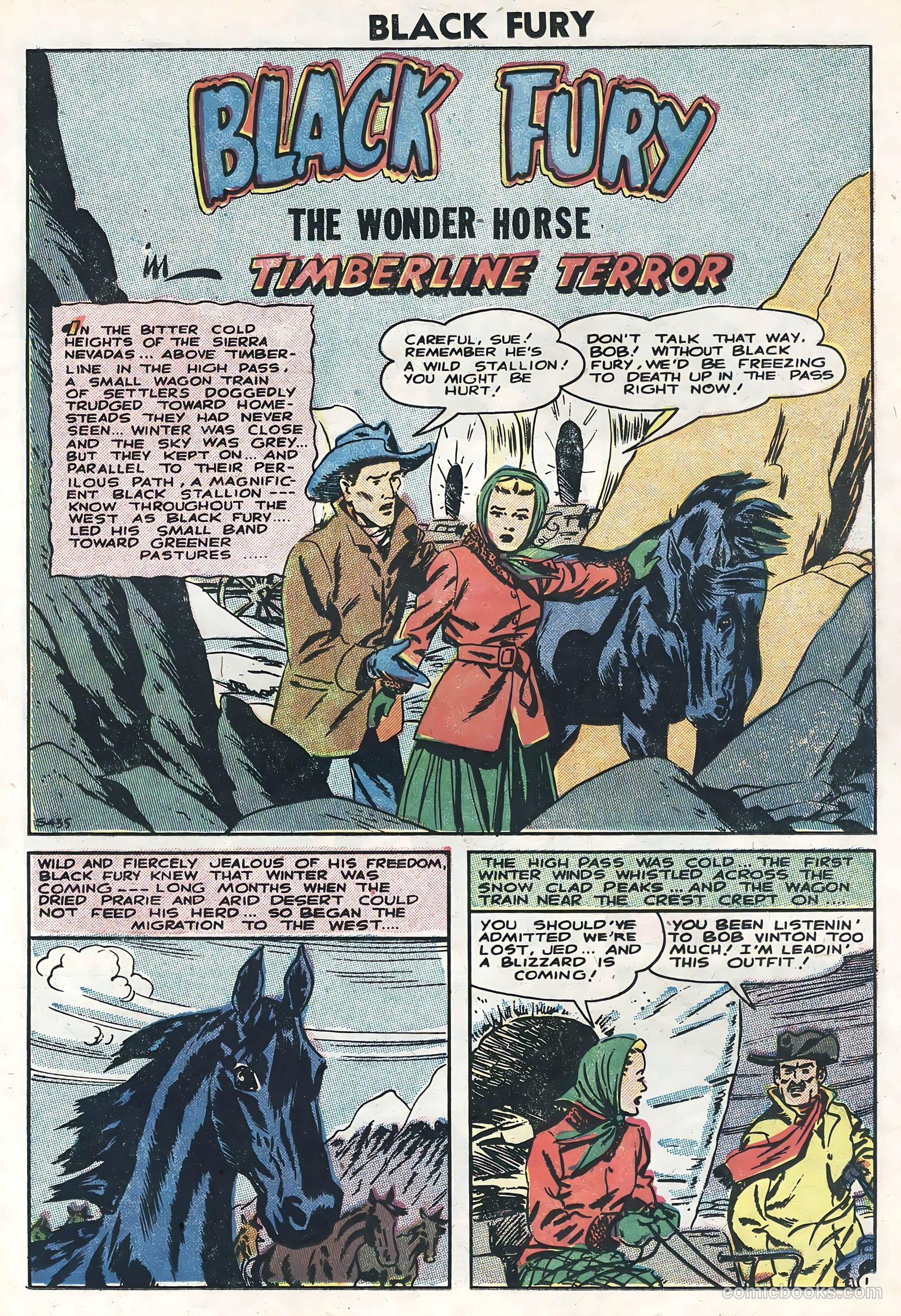 Black Fury #6 — page 23 of 36
