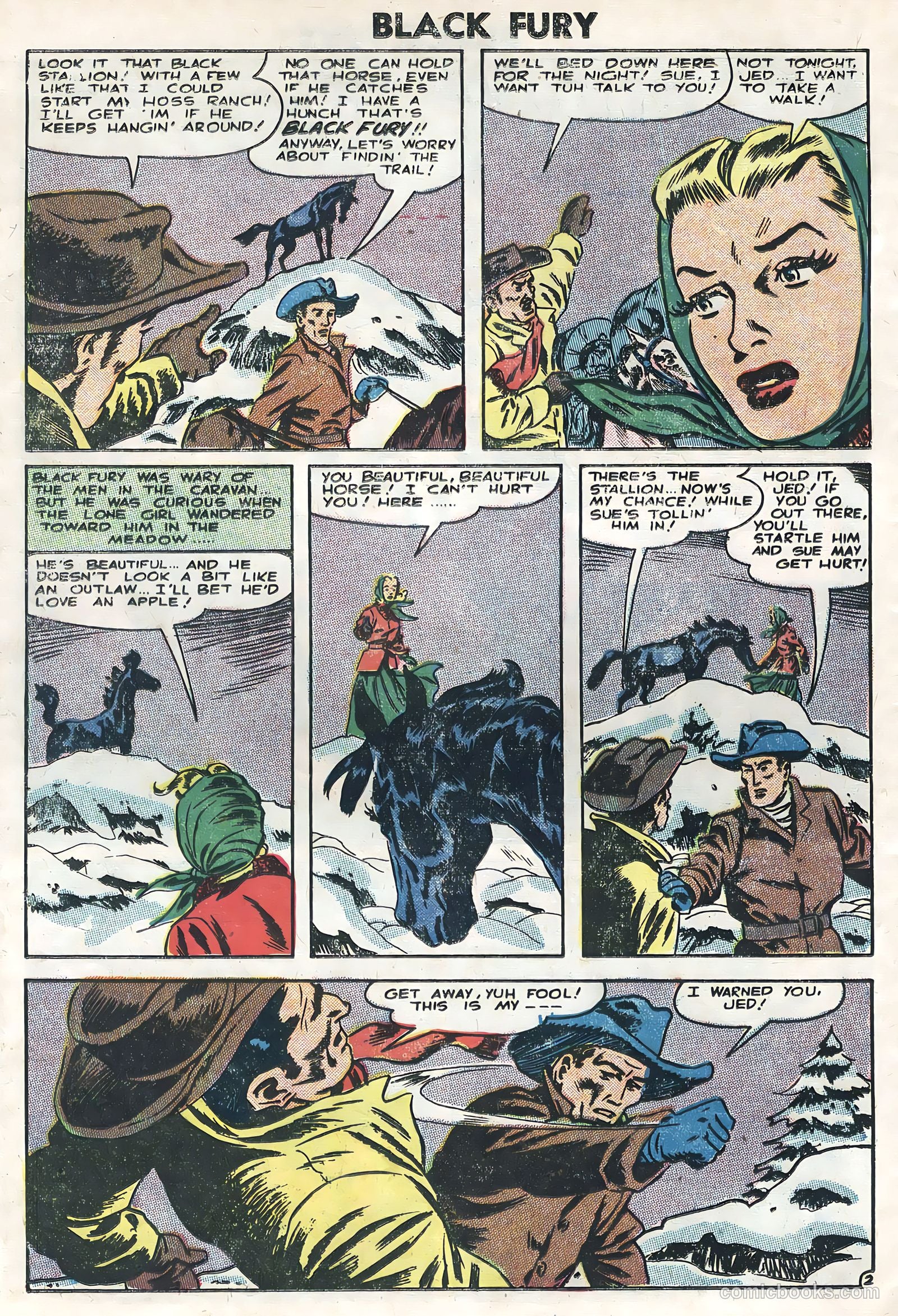 Black Fury #6 — page 24 of 36