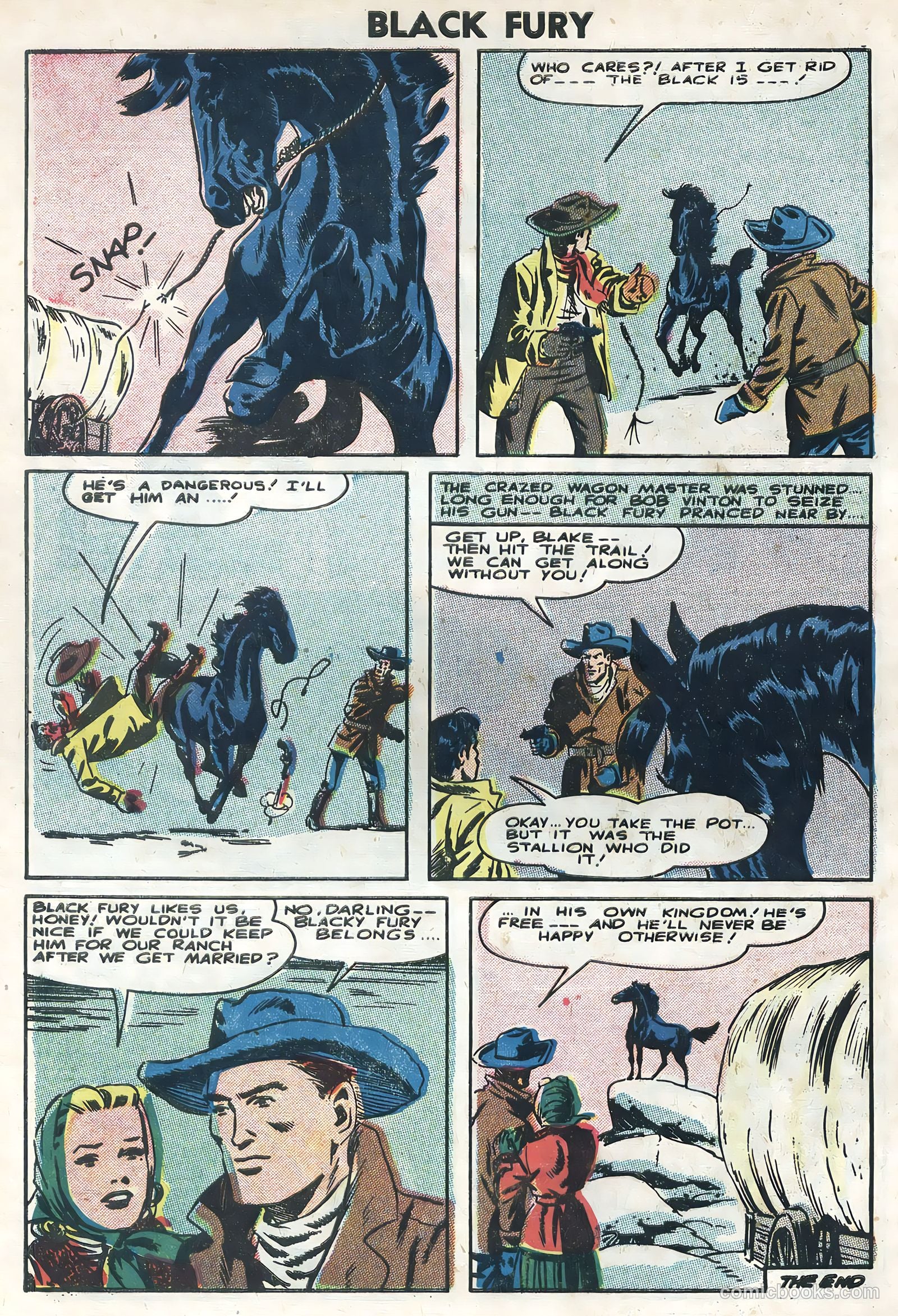 Black Fury #6 — page 28 of 36