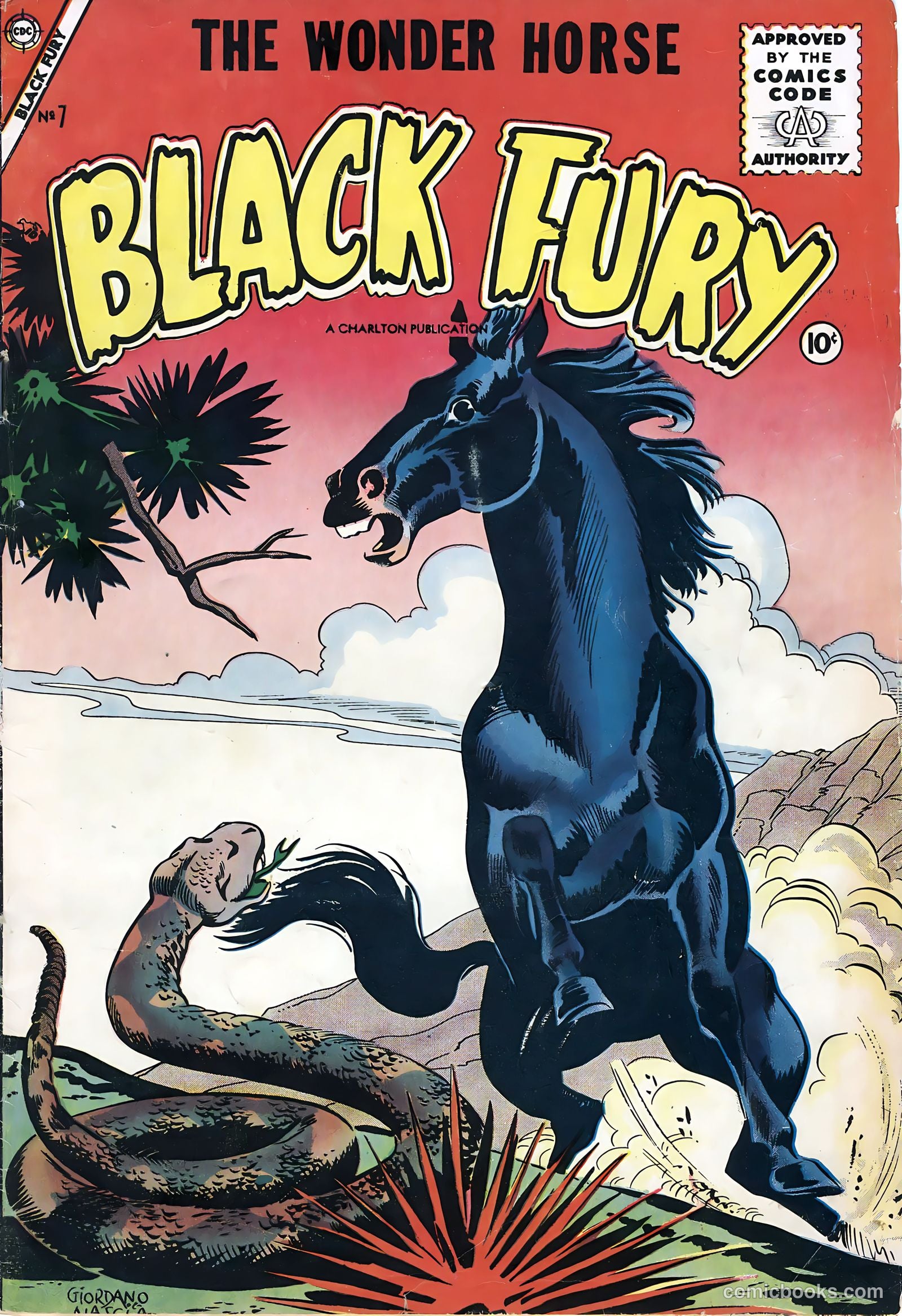 Black Fury #7 — page 1 of 36