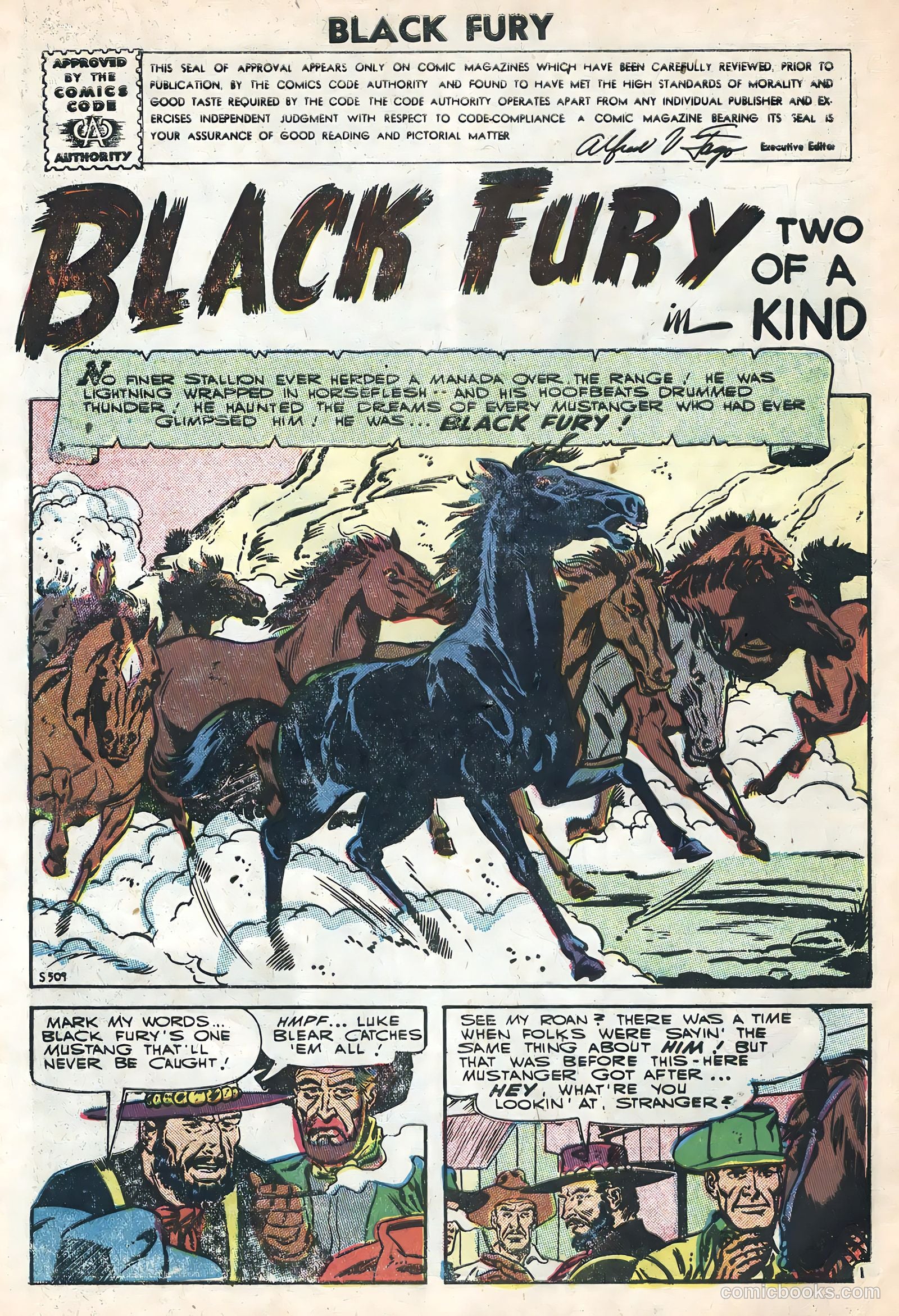 Black Fury #7 — page 3 of 36
