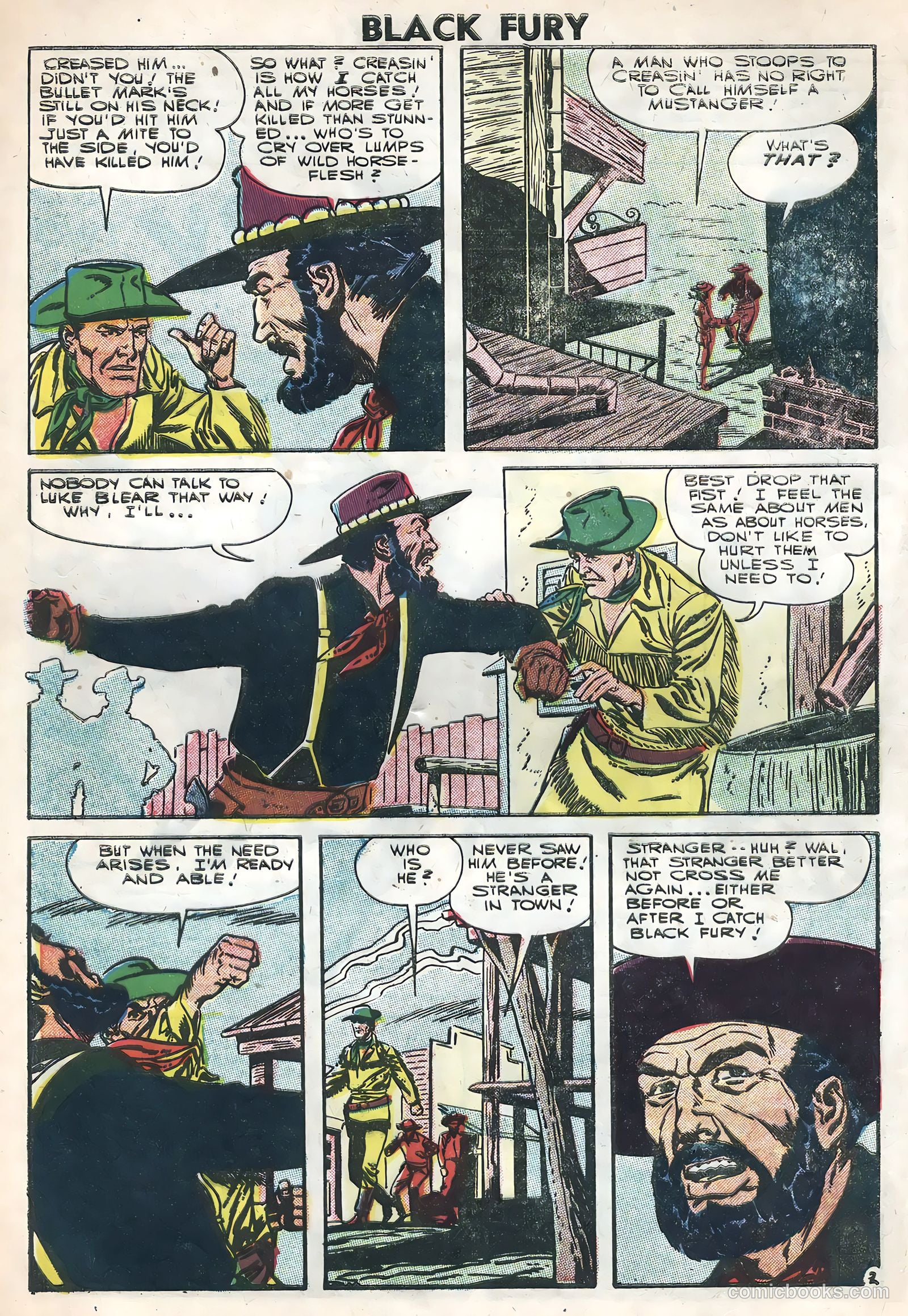 Black Fury #7 — page 4 of 36