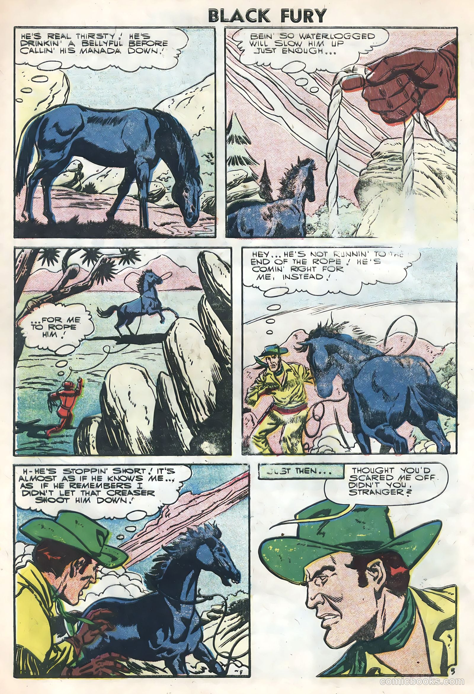 Black Fury #7 — page 8 of 36