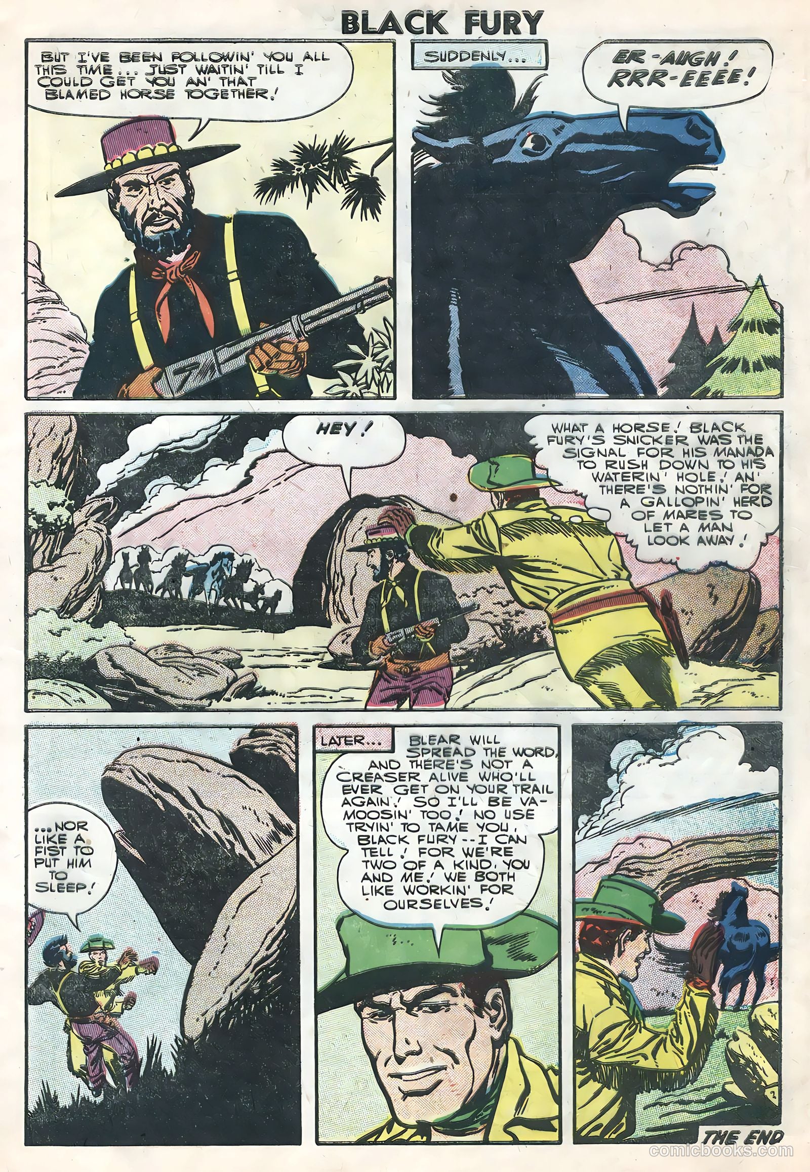 Black Fury #7 — page 9 of 36