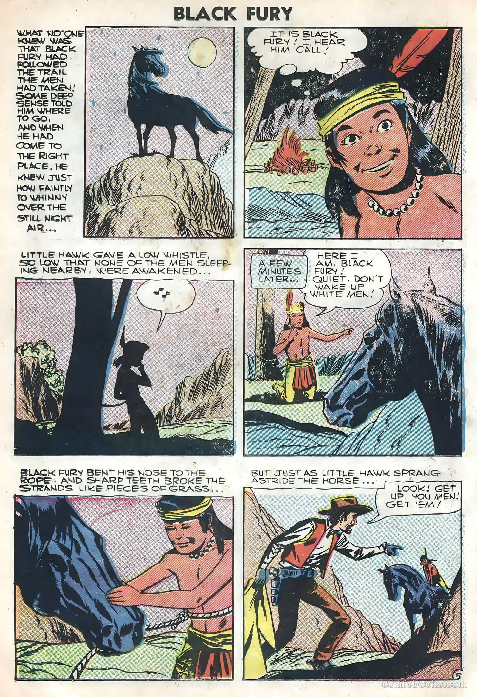 Black Fury #7 — page 14 of 36