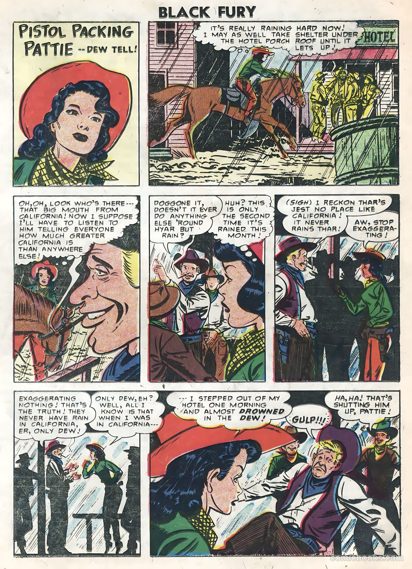 Black Fury #7 — page 17 of 36