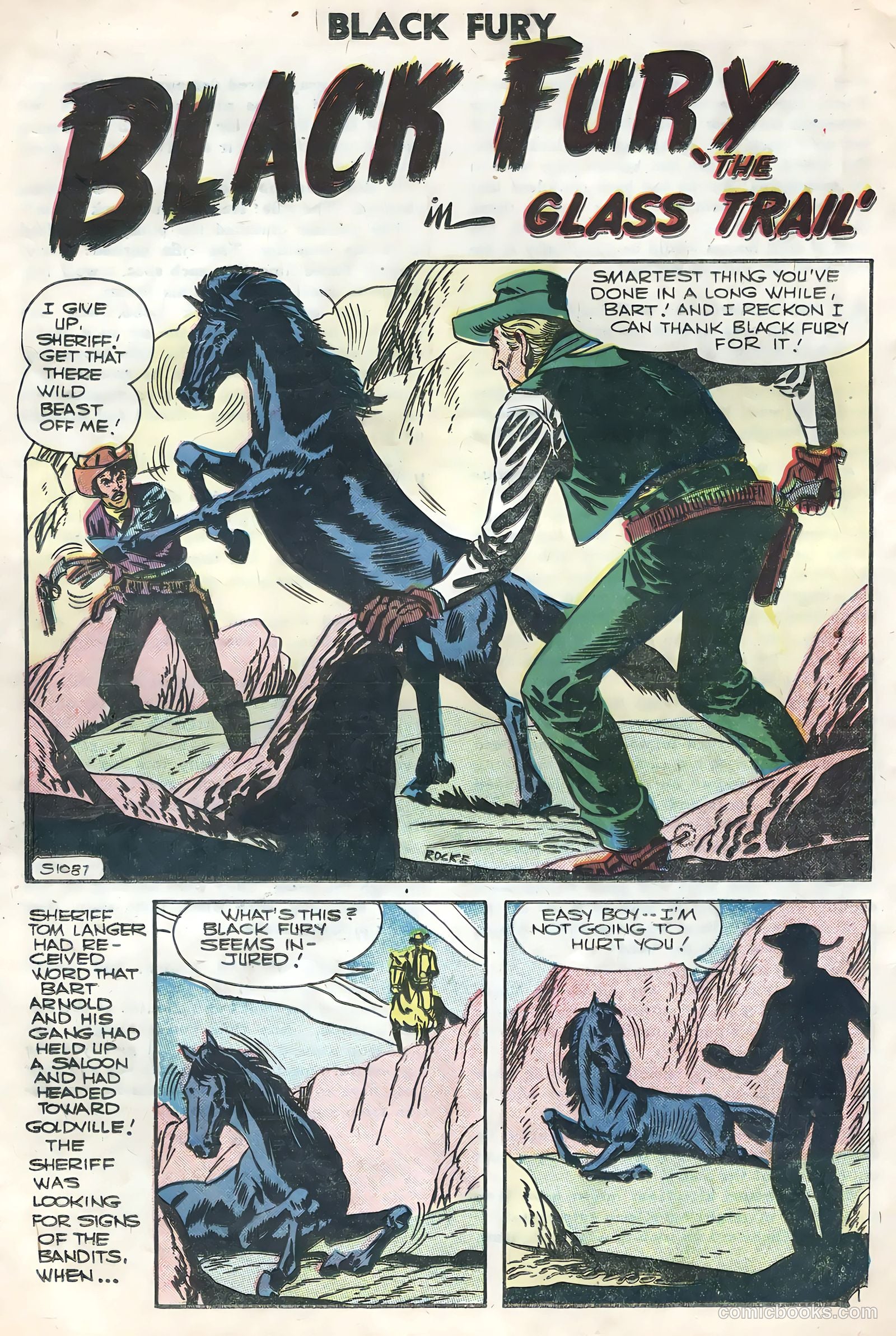 Black Fury #7 — page 20 of 36