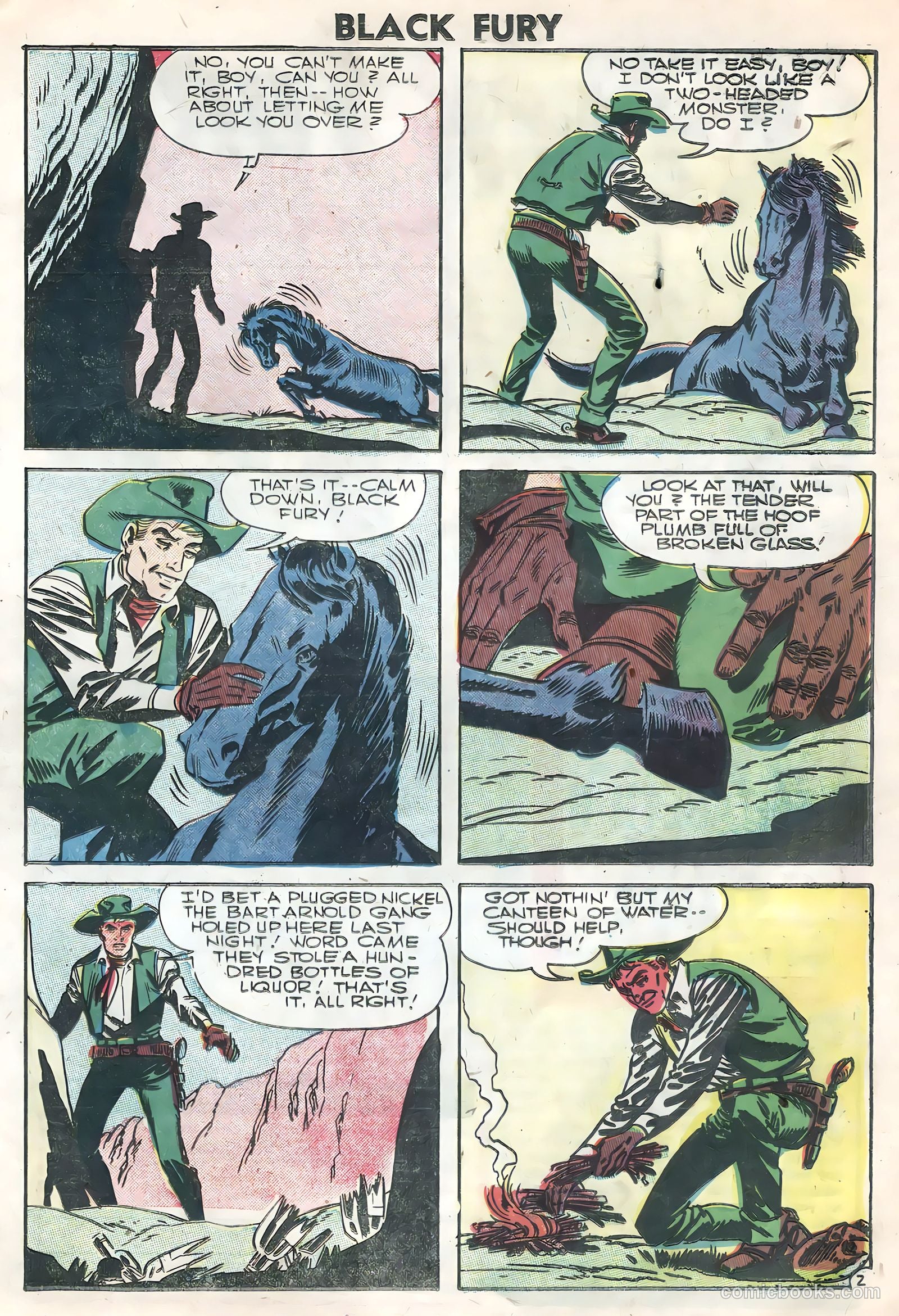 Black Fury #7 — page 21 of 36