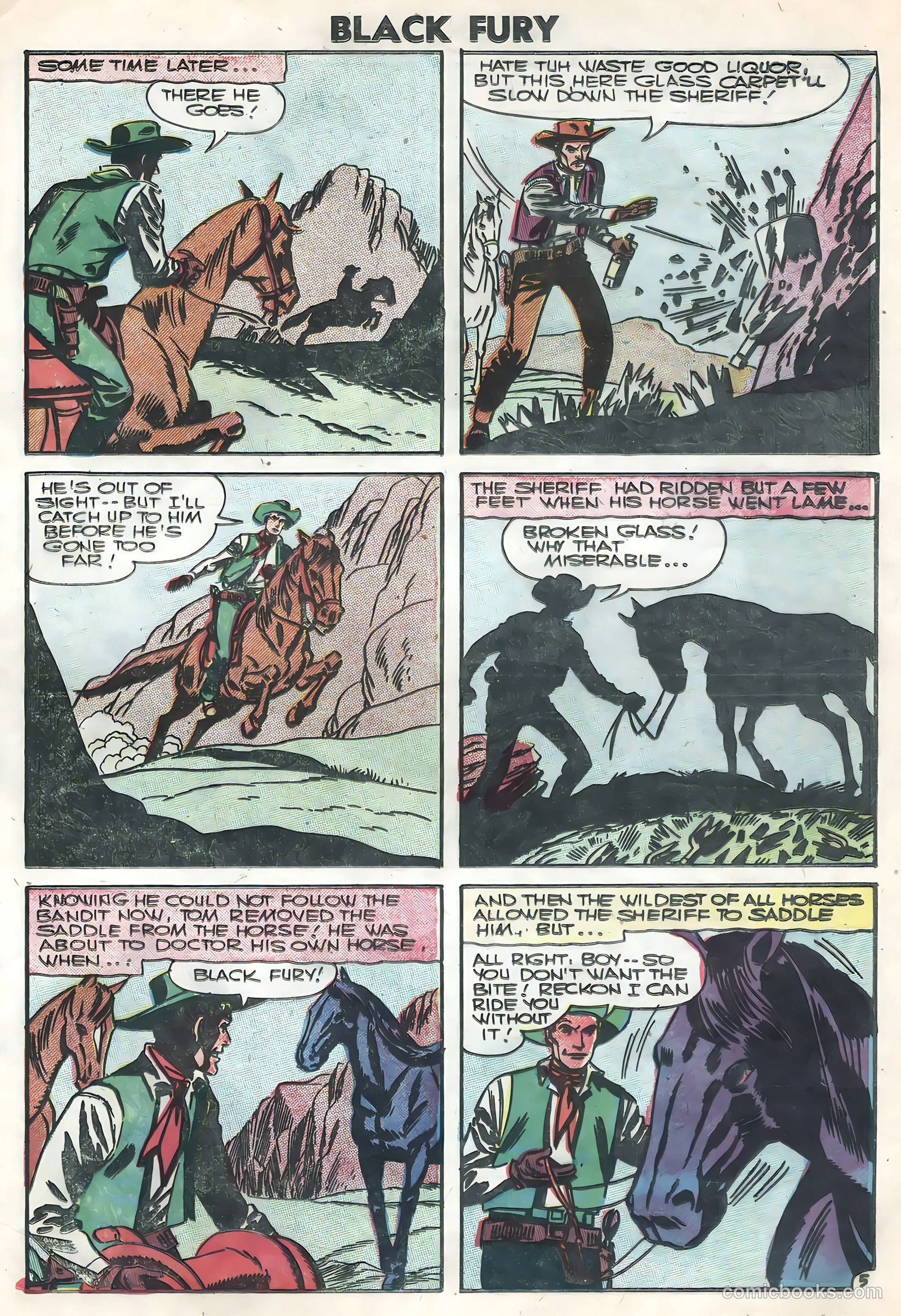 Black Fury #7 — page 25 of 36