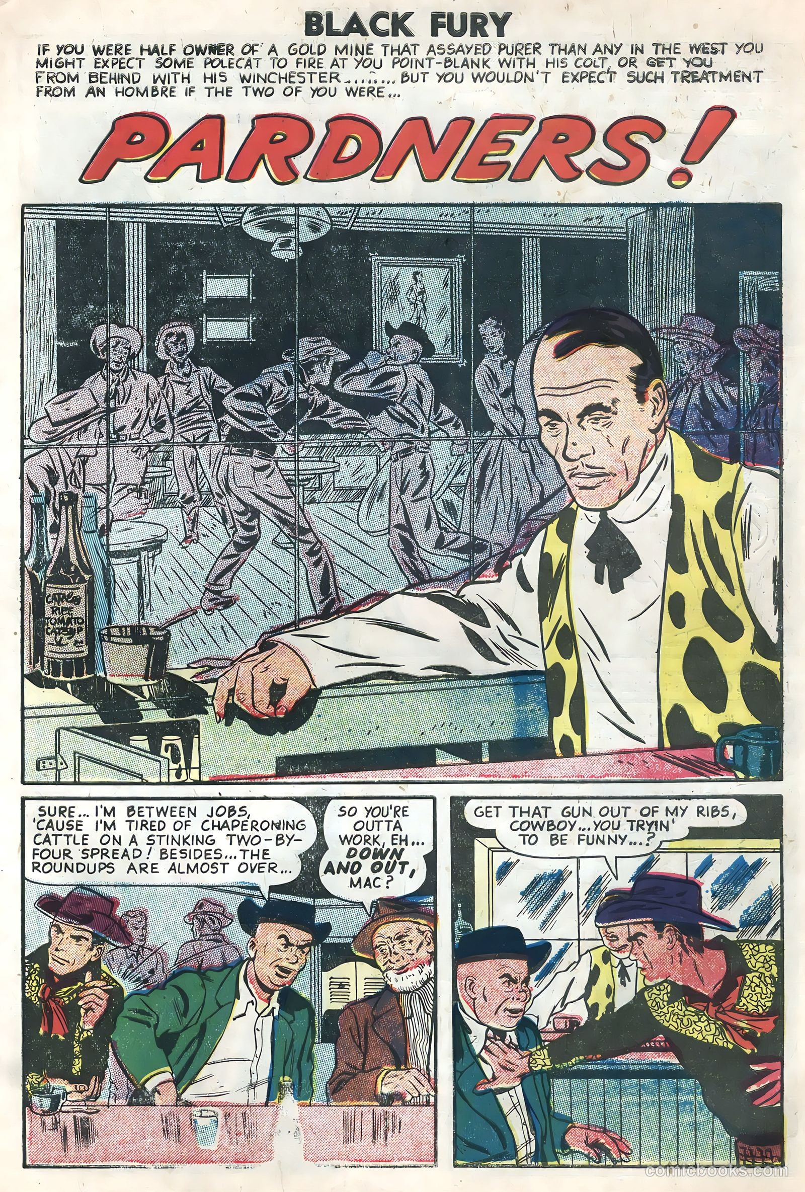 Black Fury #7 — page 27 of 36