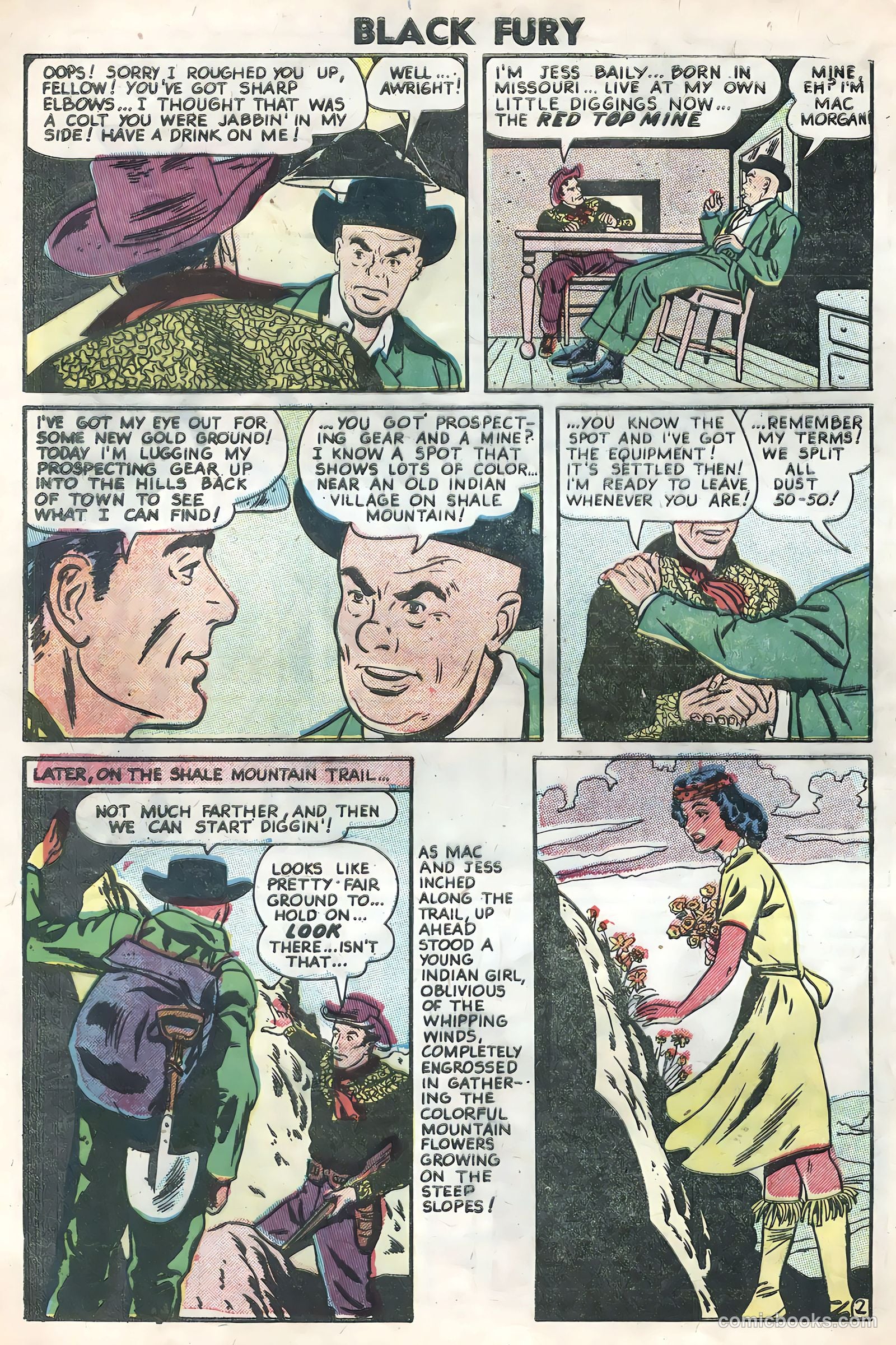 Black Fury #7 — page 28 of 36