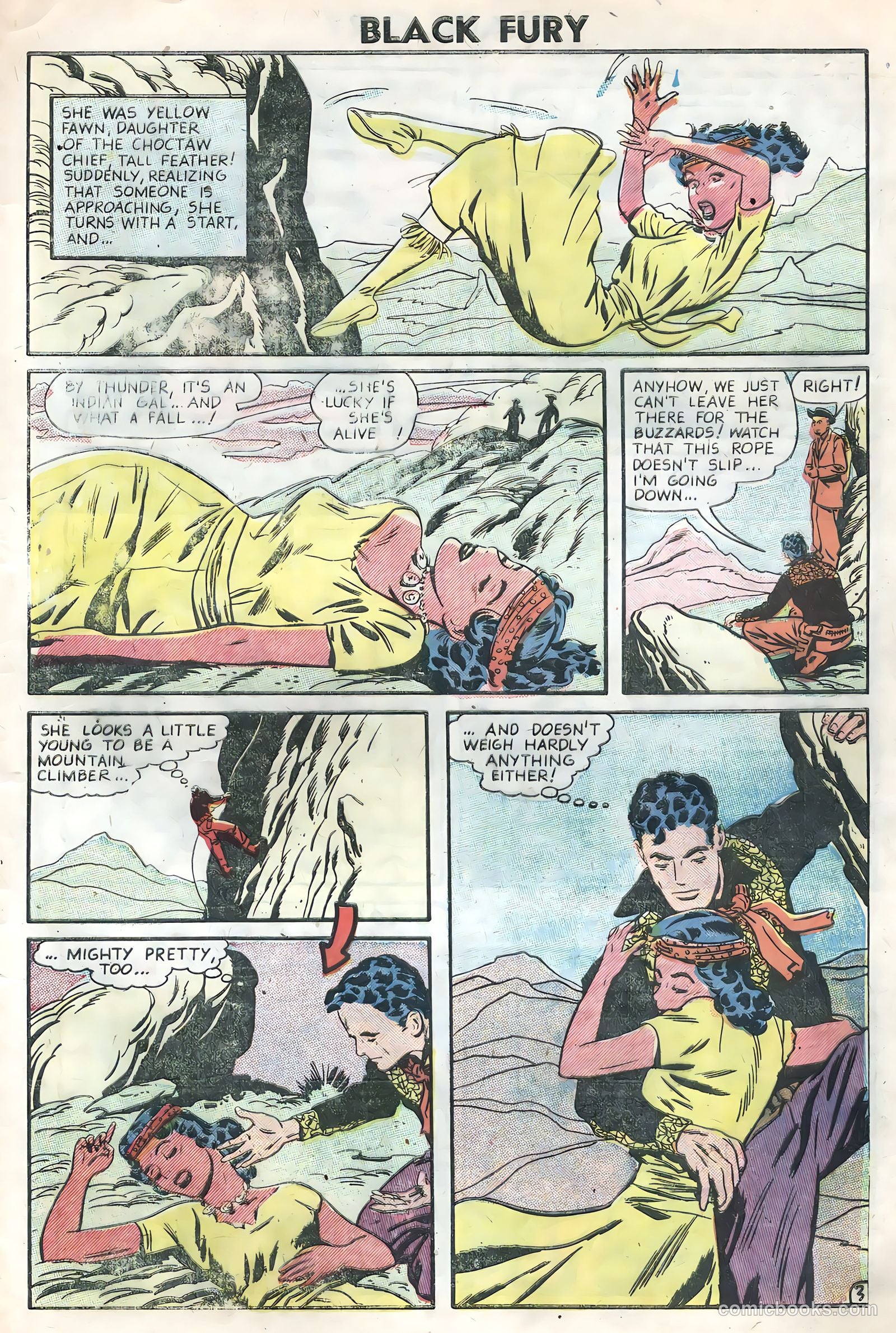 Black Fury #7 — page 29 of 36