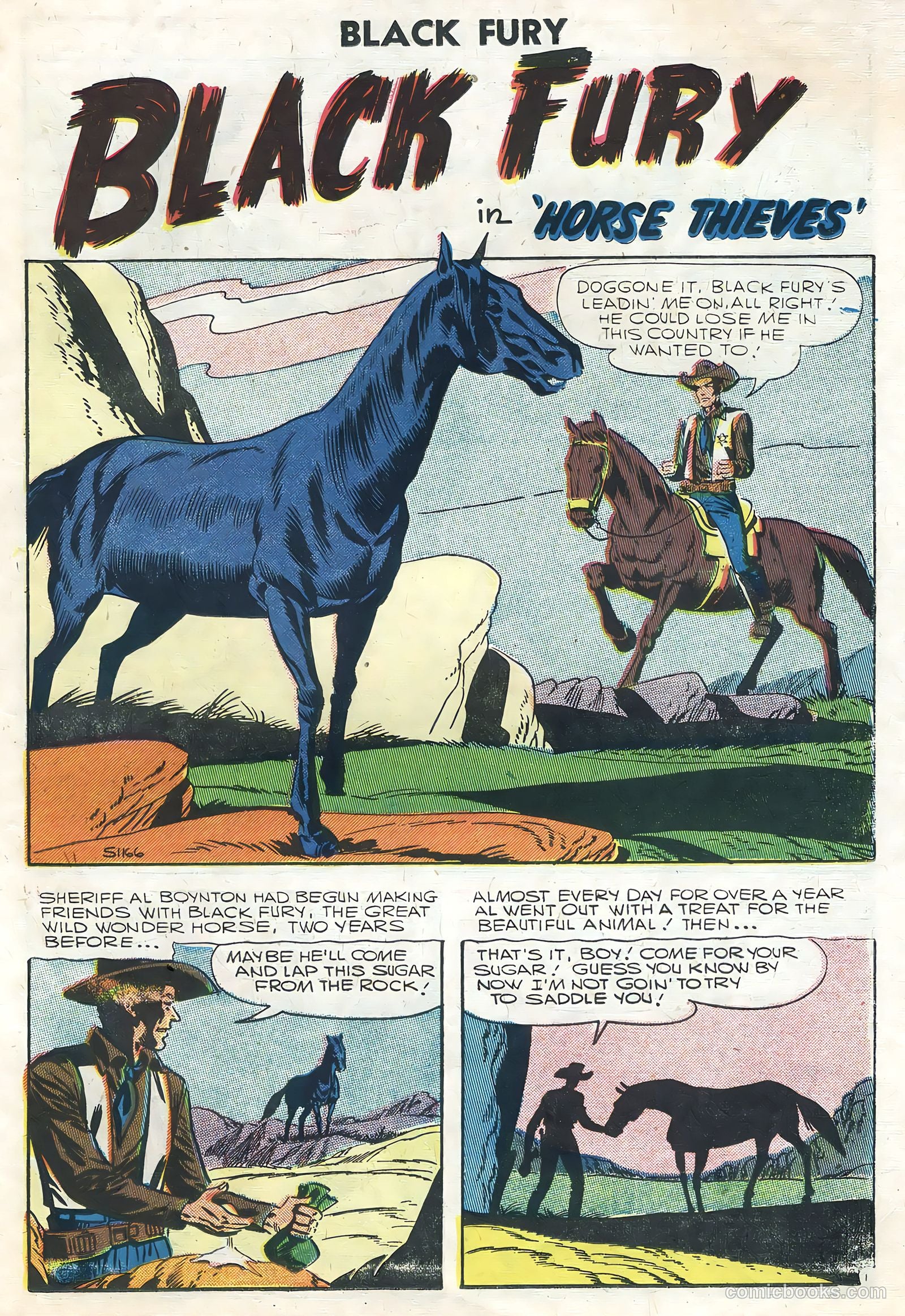 Black Fury #8 — page 11 of 36