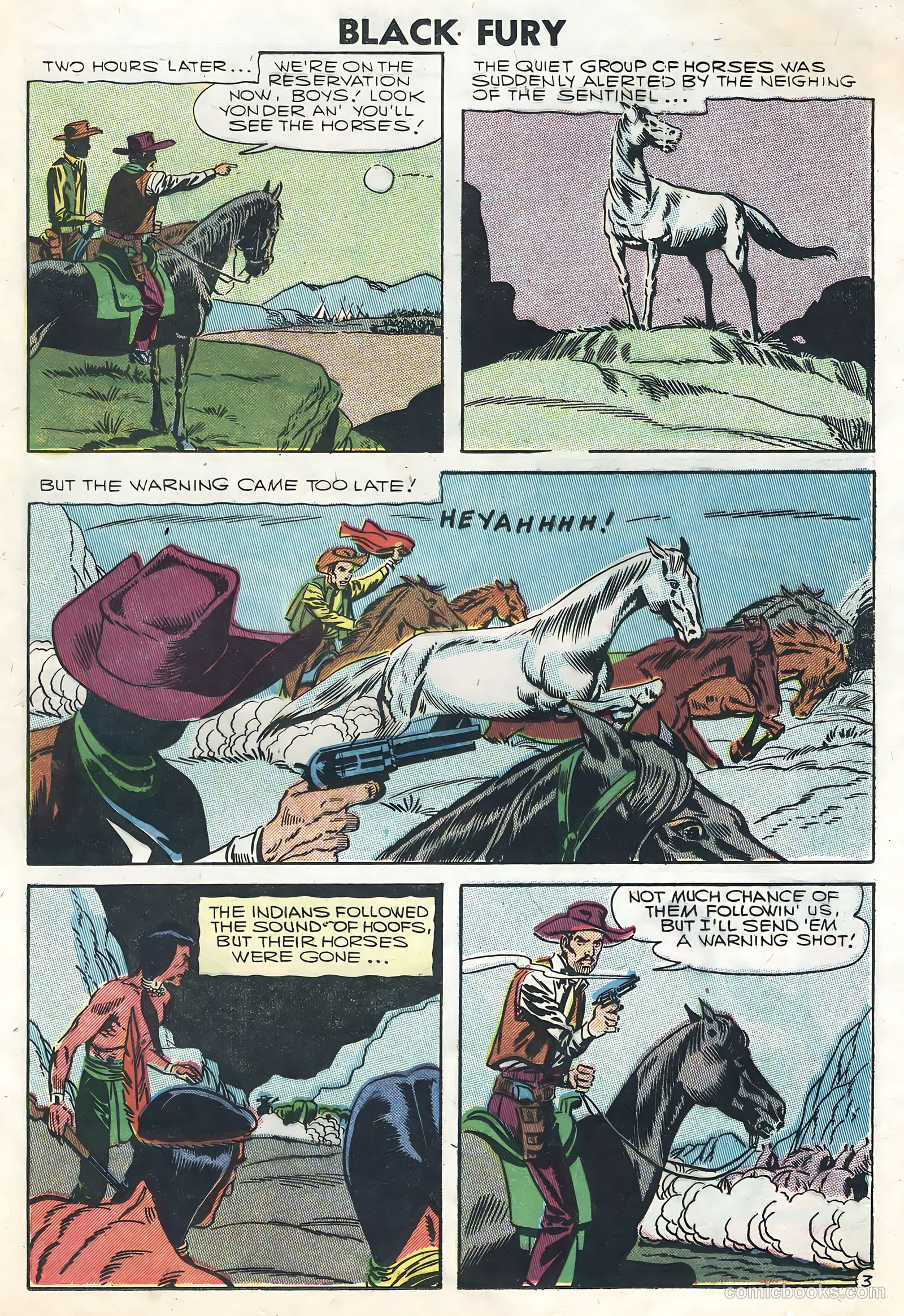 Black Fury #8 — page 13 of 36