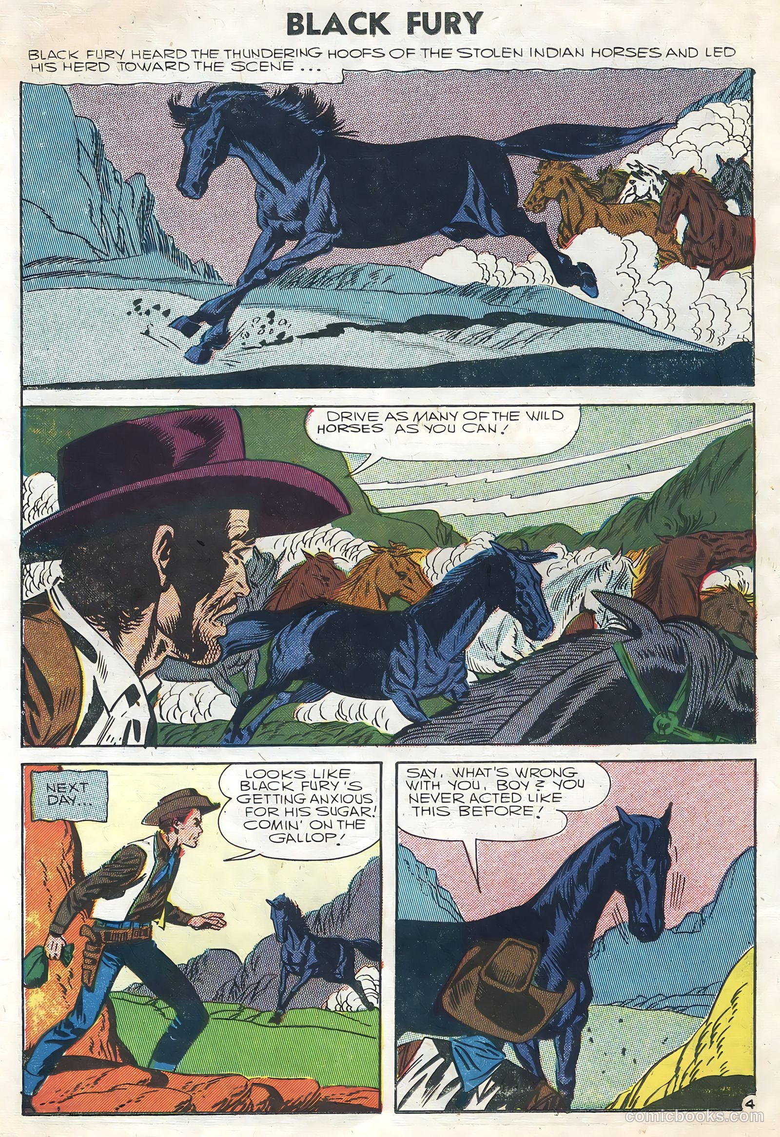Black Fury #8 — page 14 of 36