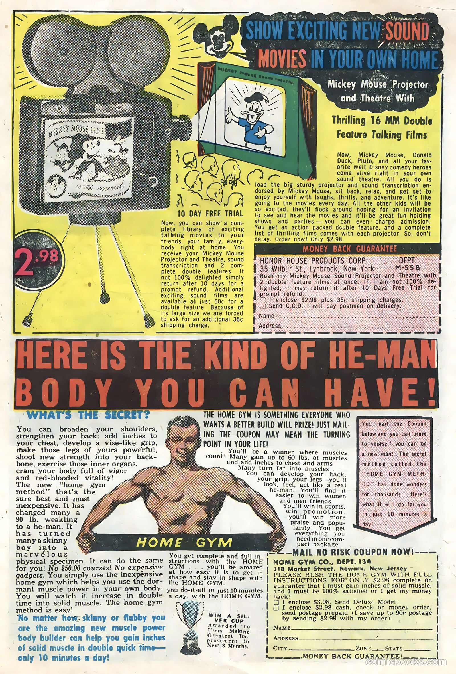 Black Fury #8 — page 15 of 36