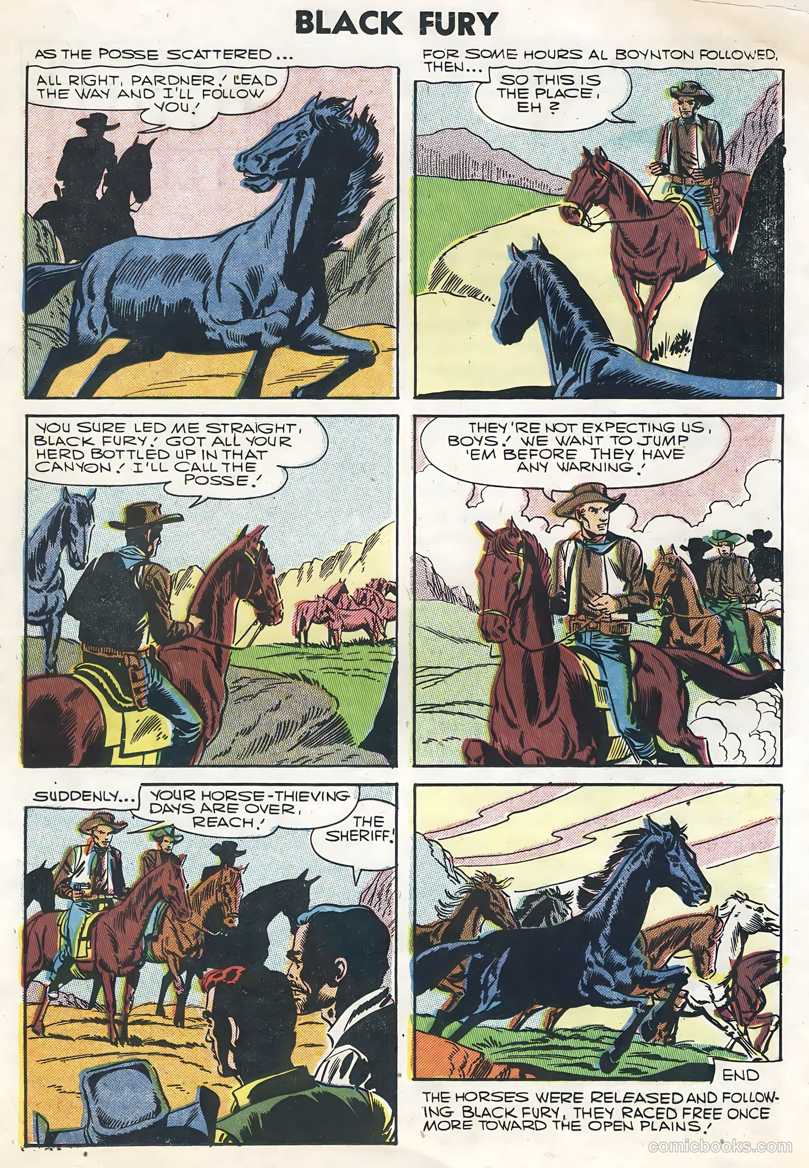 Black Fury #8 — page 17 of 36