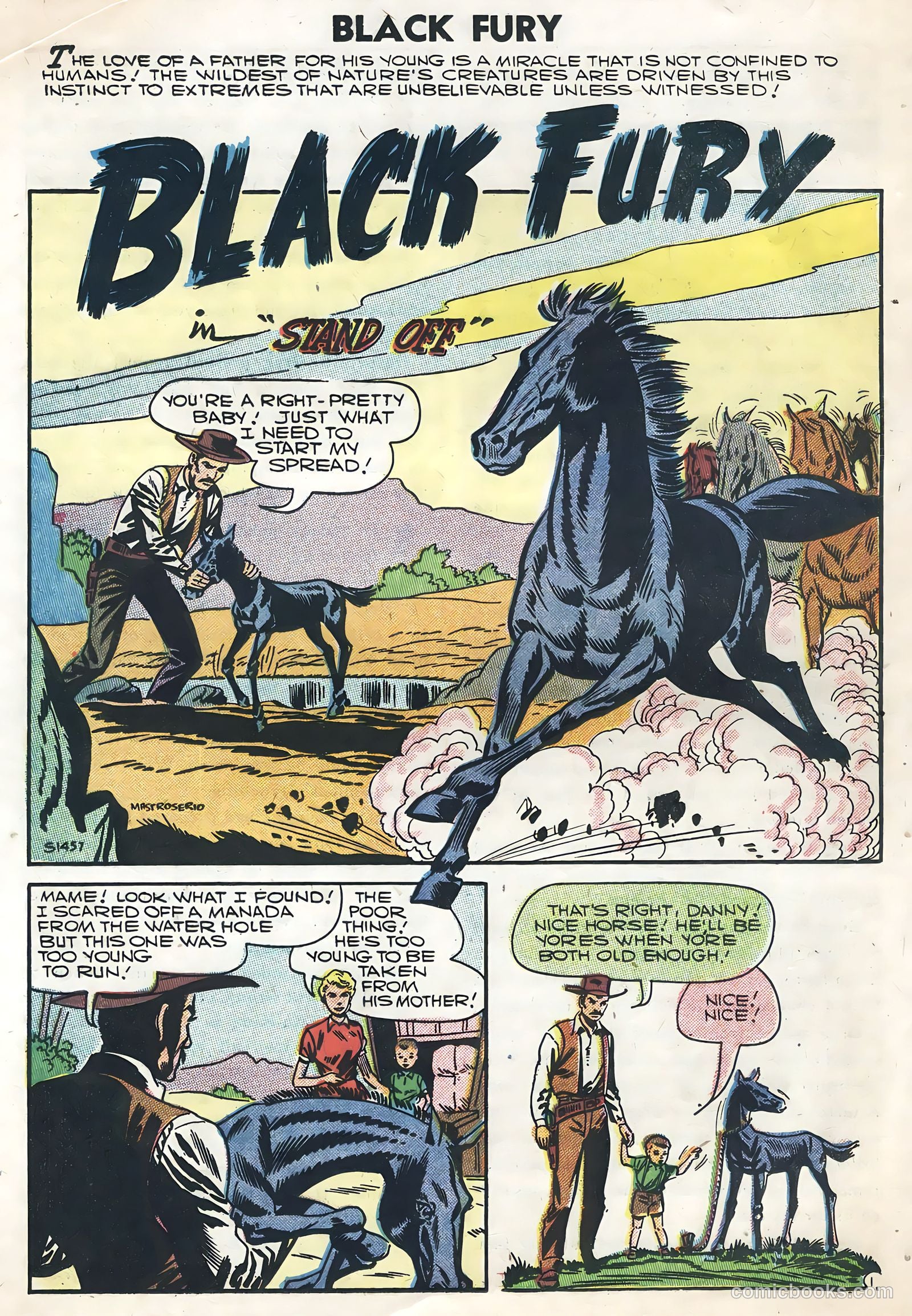 Black Fury #8 — page 20 of 36