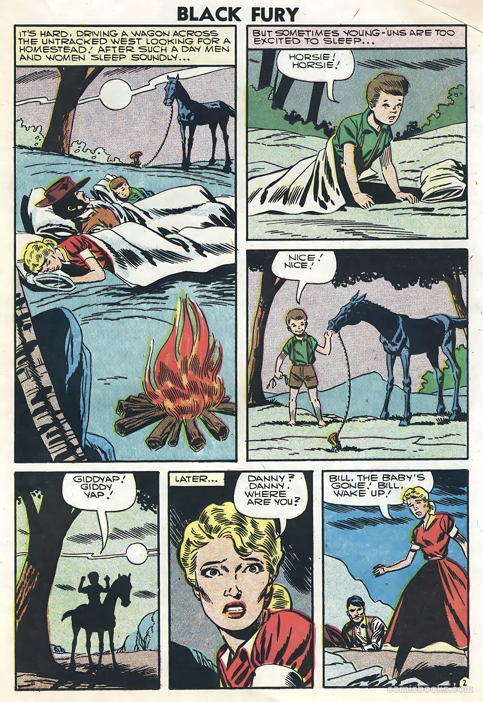 Black Fury #8 — page 21 of 36