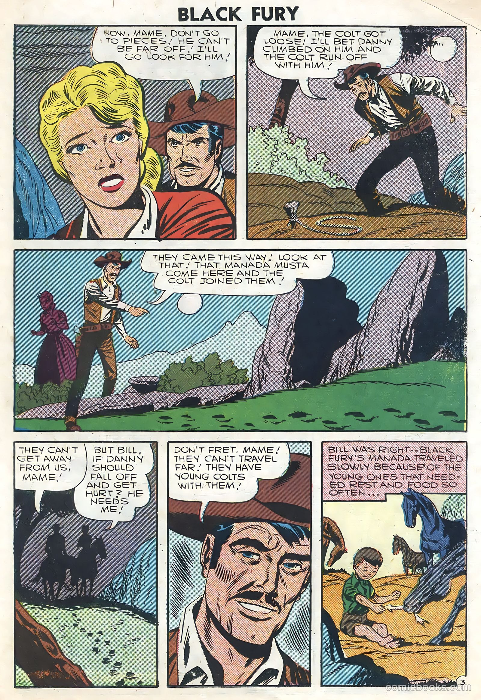 Black Fury #8 — page 23 of 36