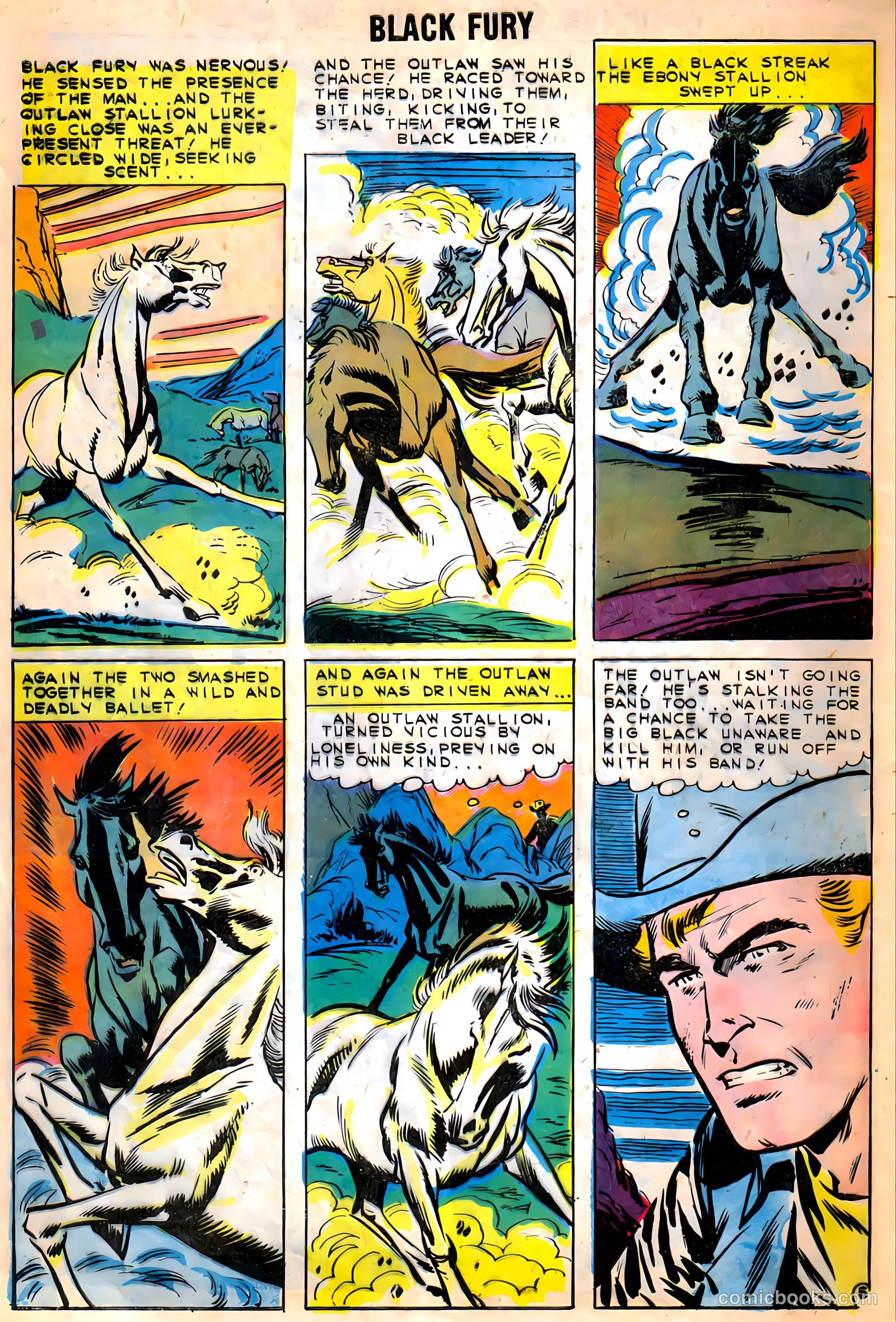 Black Fury #9 — page 8 of 37