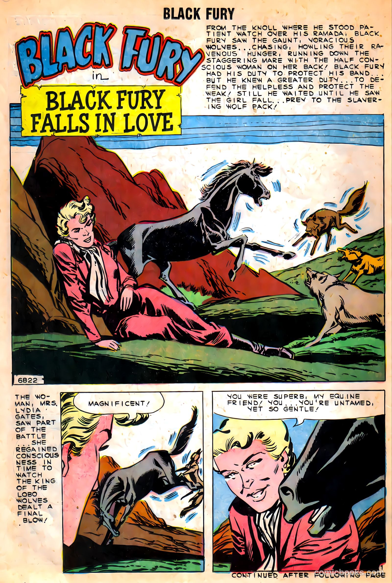 Black Fury #9 — page 14 of 37