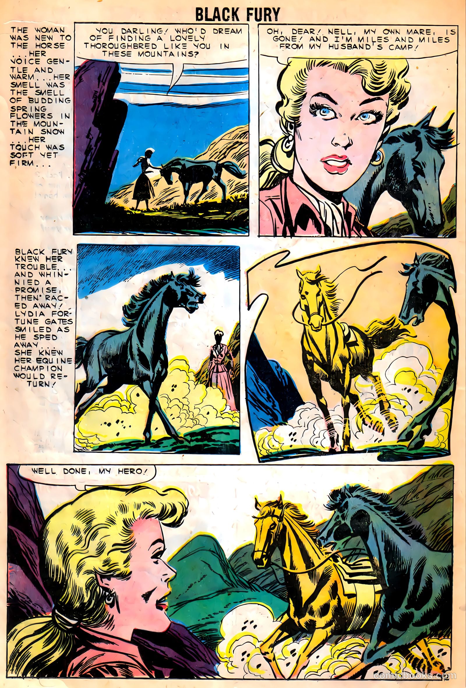 Black Fury #9 — page 16 of 37