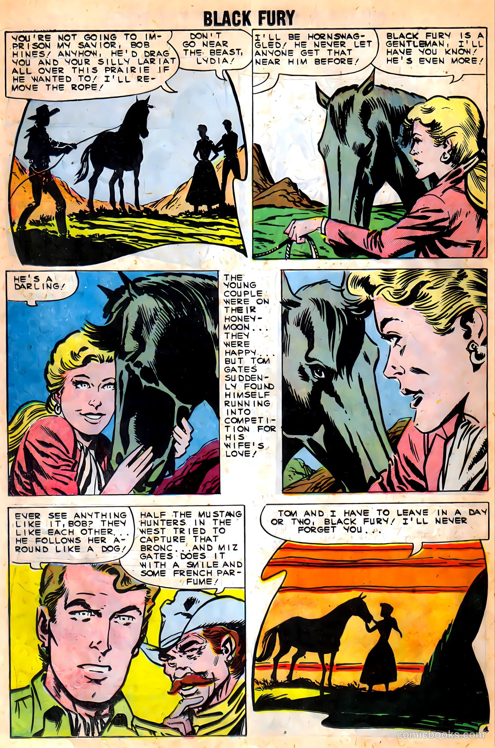Black Fury #9 — page 18 of 37