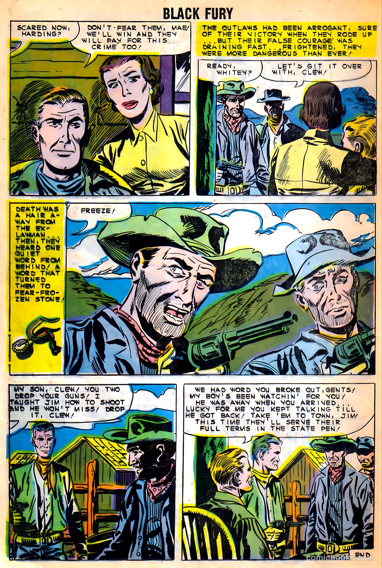 Black Fury #9 — page 24 of 37