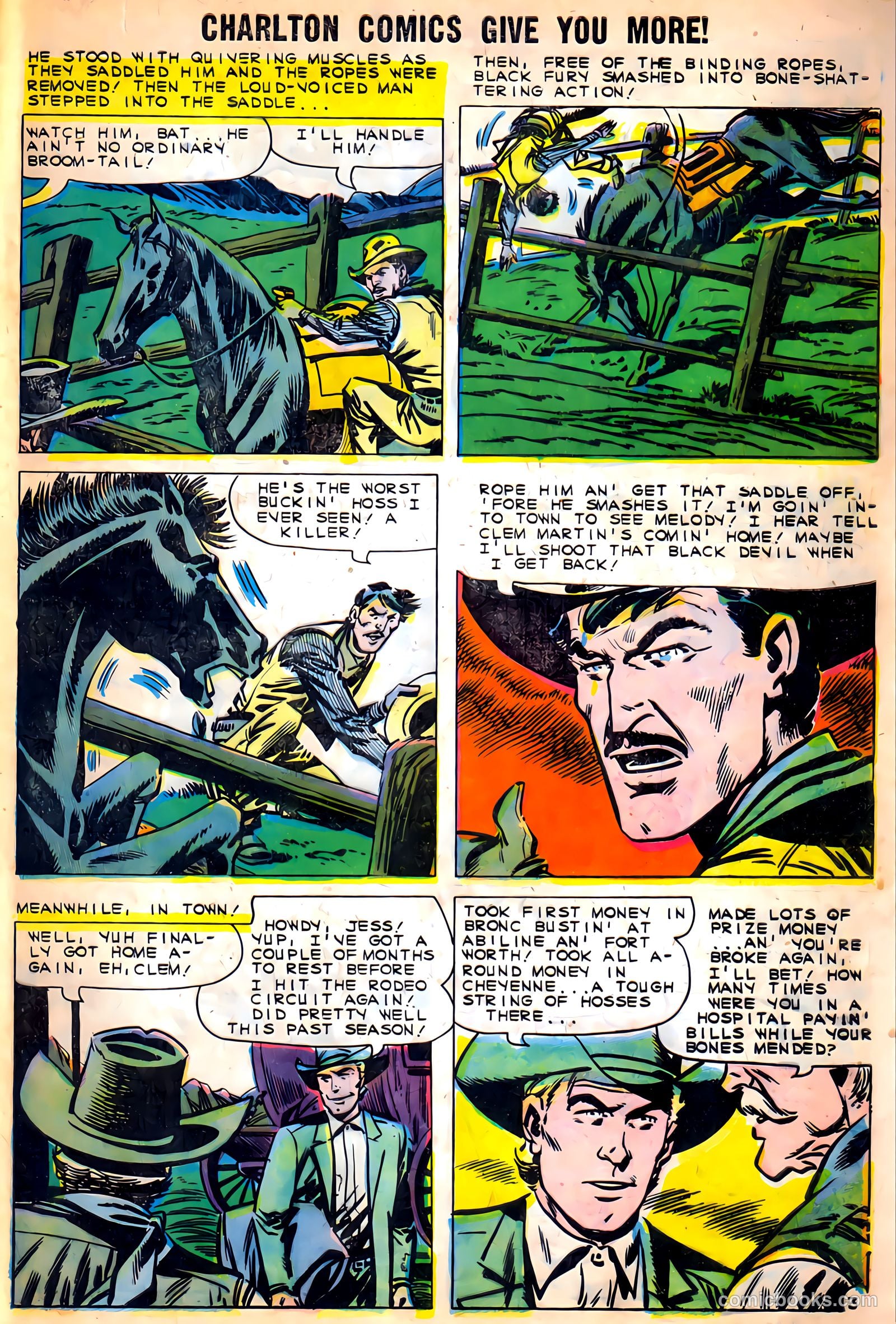 Black Fury #9 — page 29 of 37