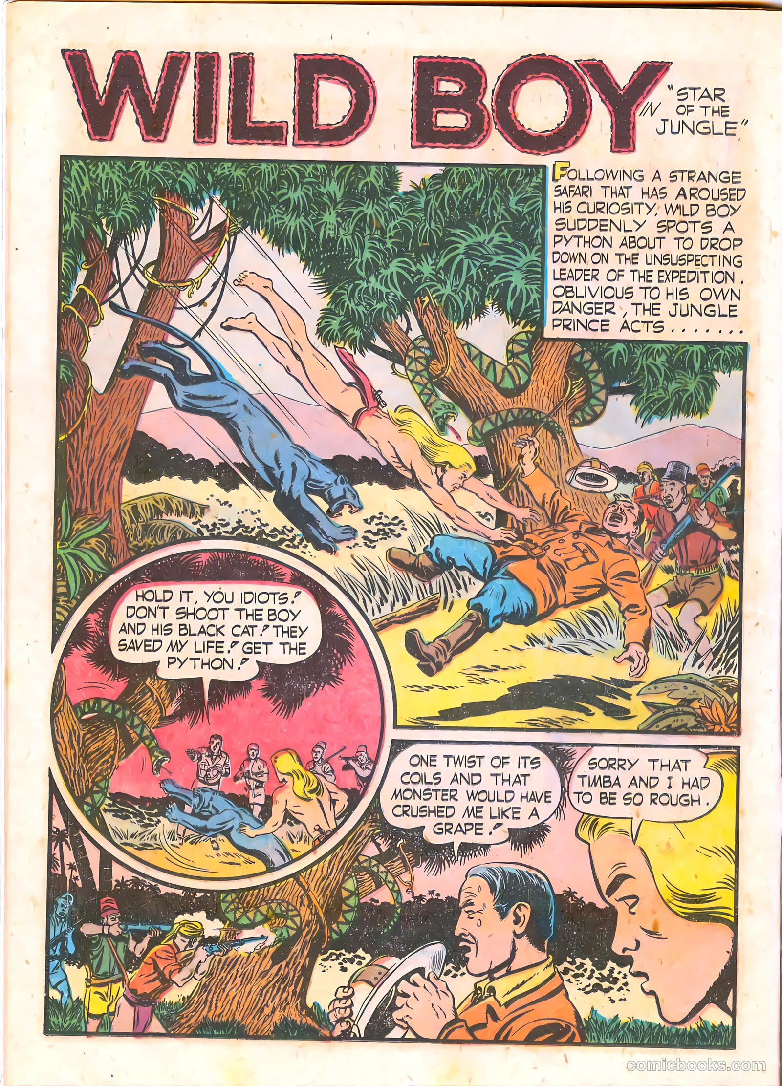 Wild Boy #2 — page 12 of 36