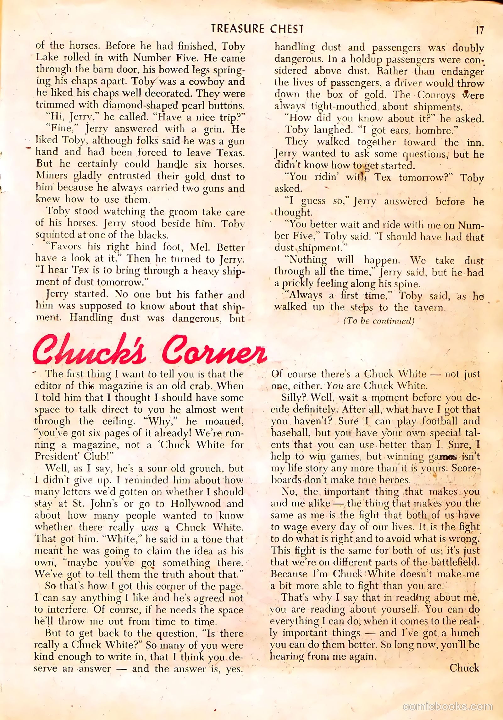 Treasure Chest of Fun and Fact #3 — page 17 of 37