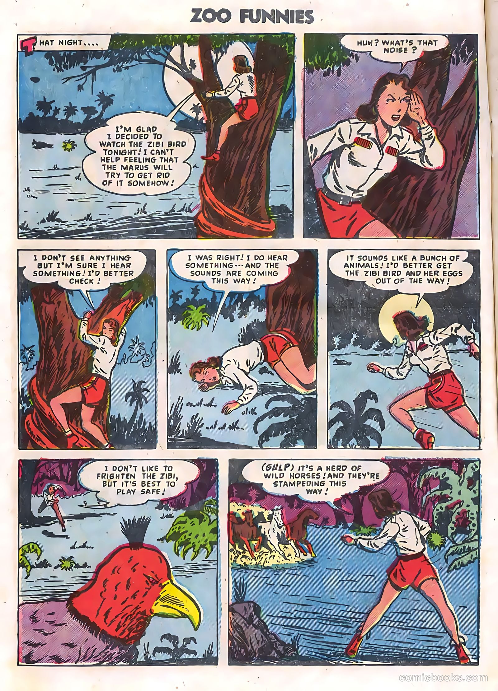 Zoo Funnies v2 #12 — page 8 of 36