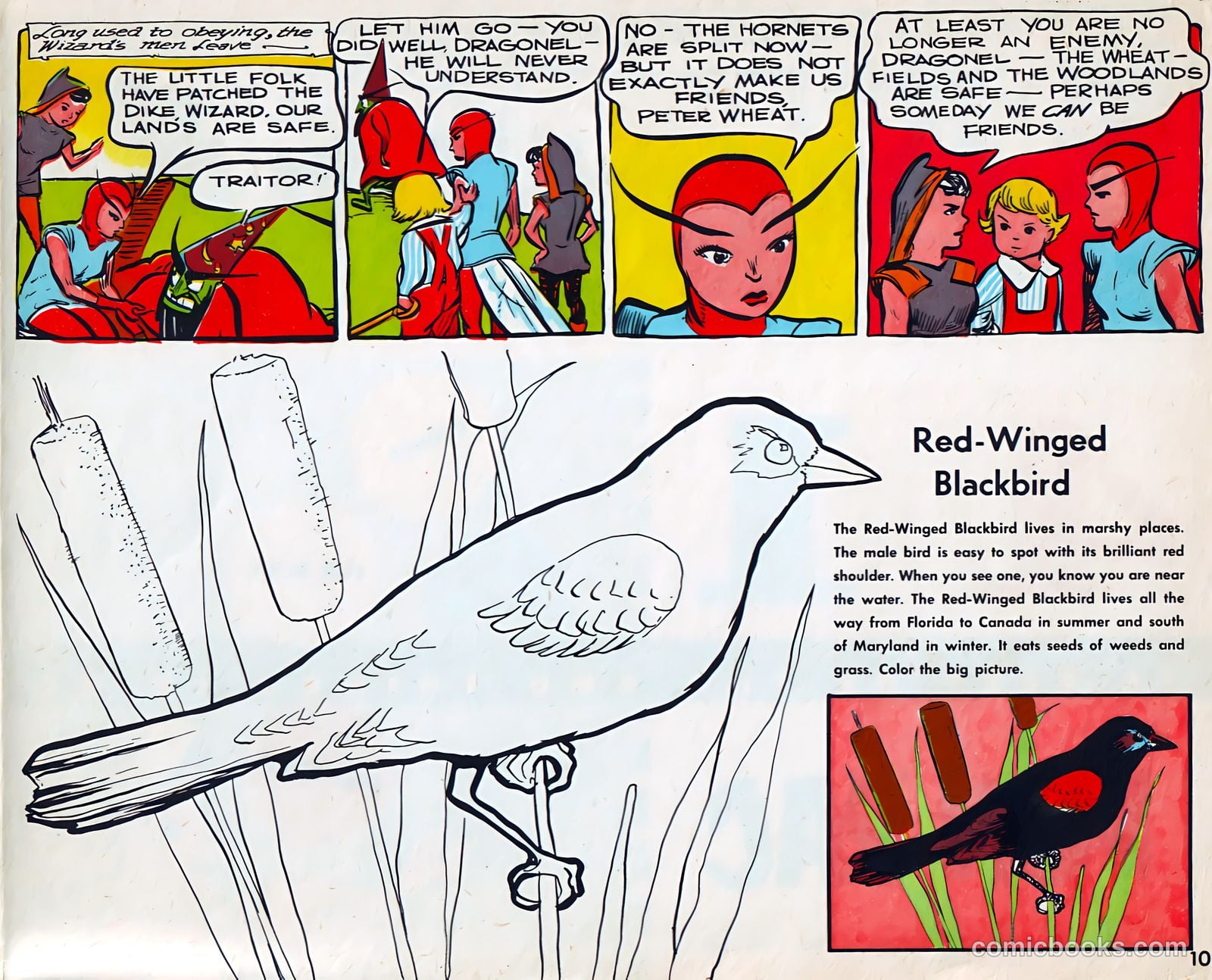 4 in 1 Fun Pac #4 — page 10 of 10
