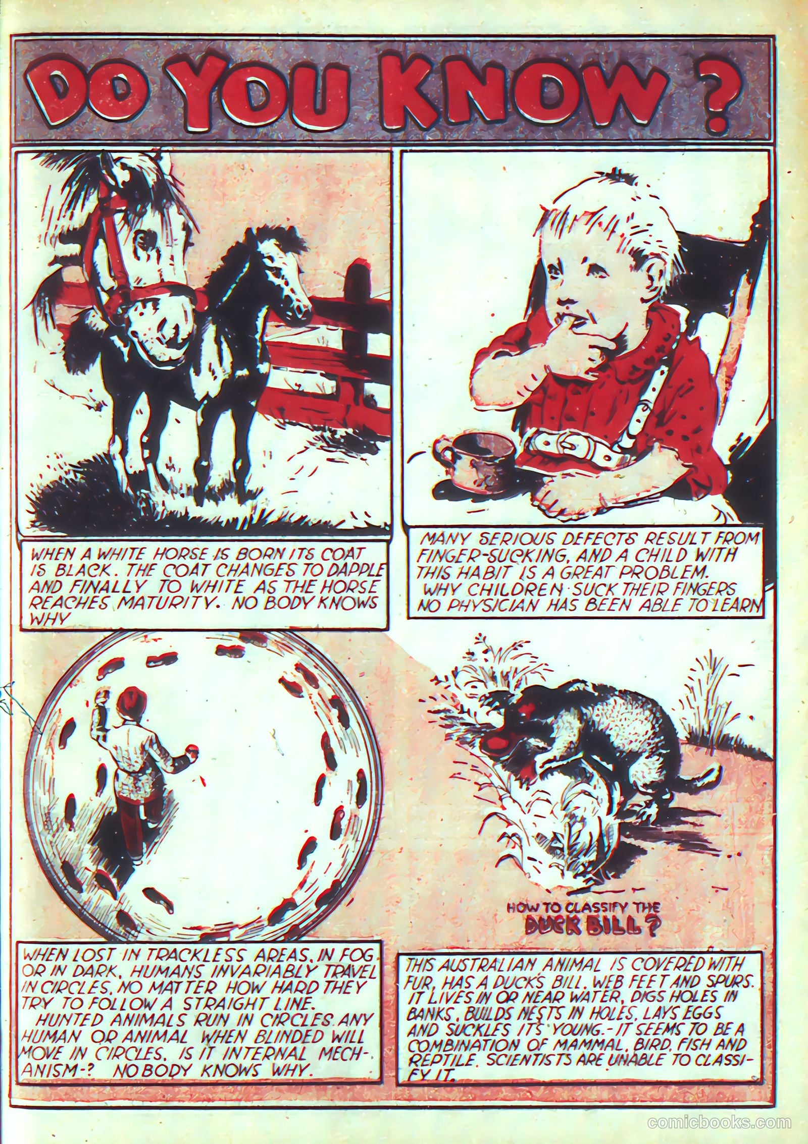 More Fun Comics #21 — page 40 of 68
