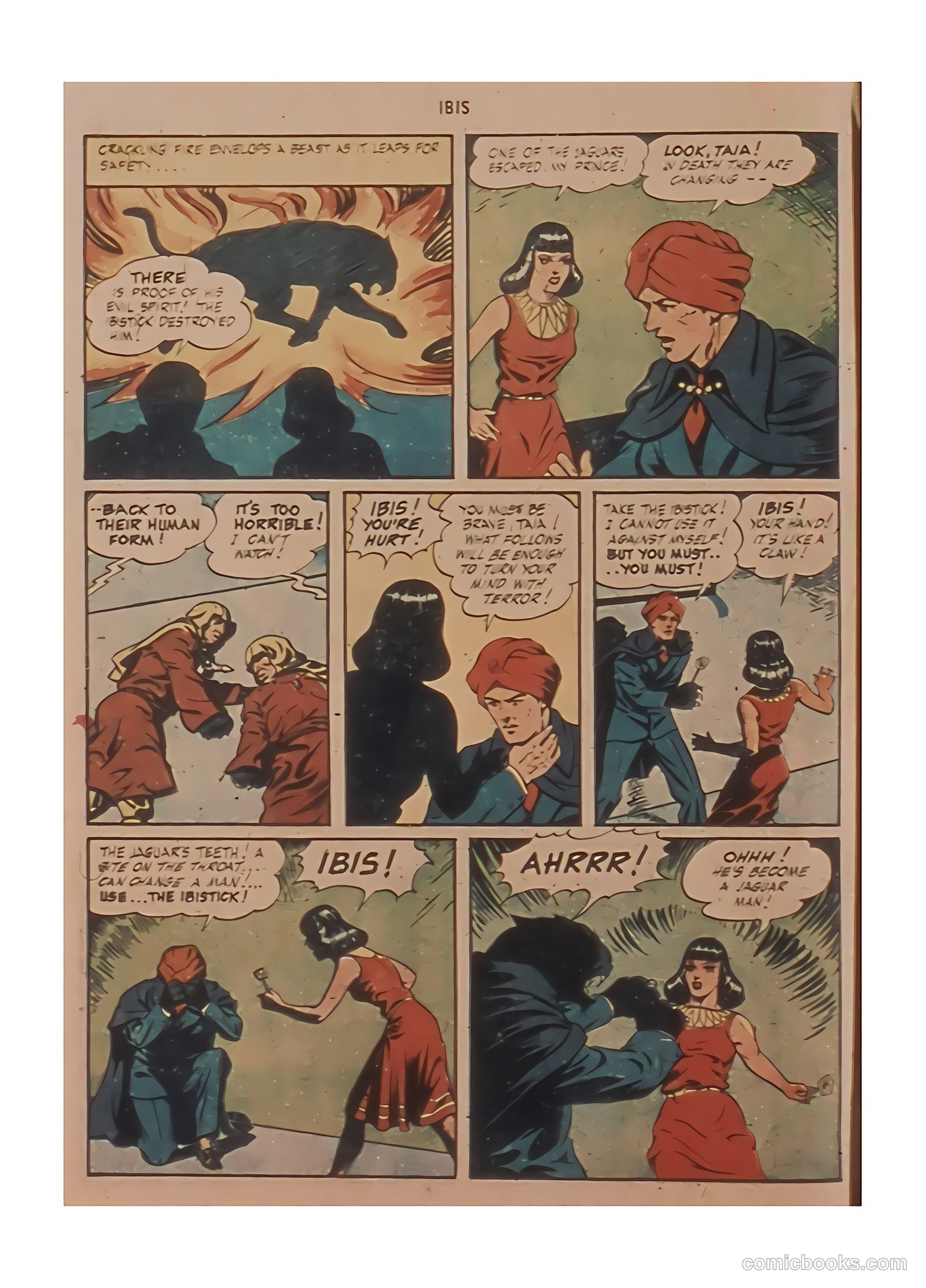 Ibis #3 — page 12 of 36