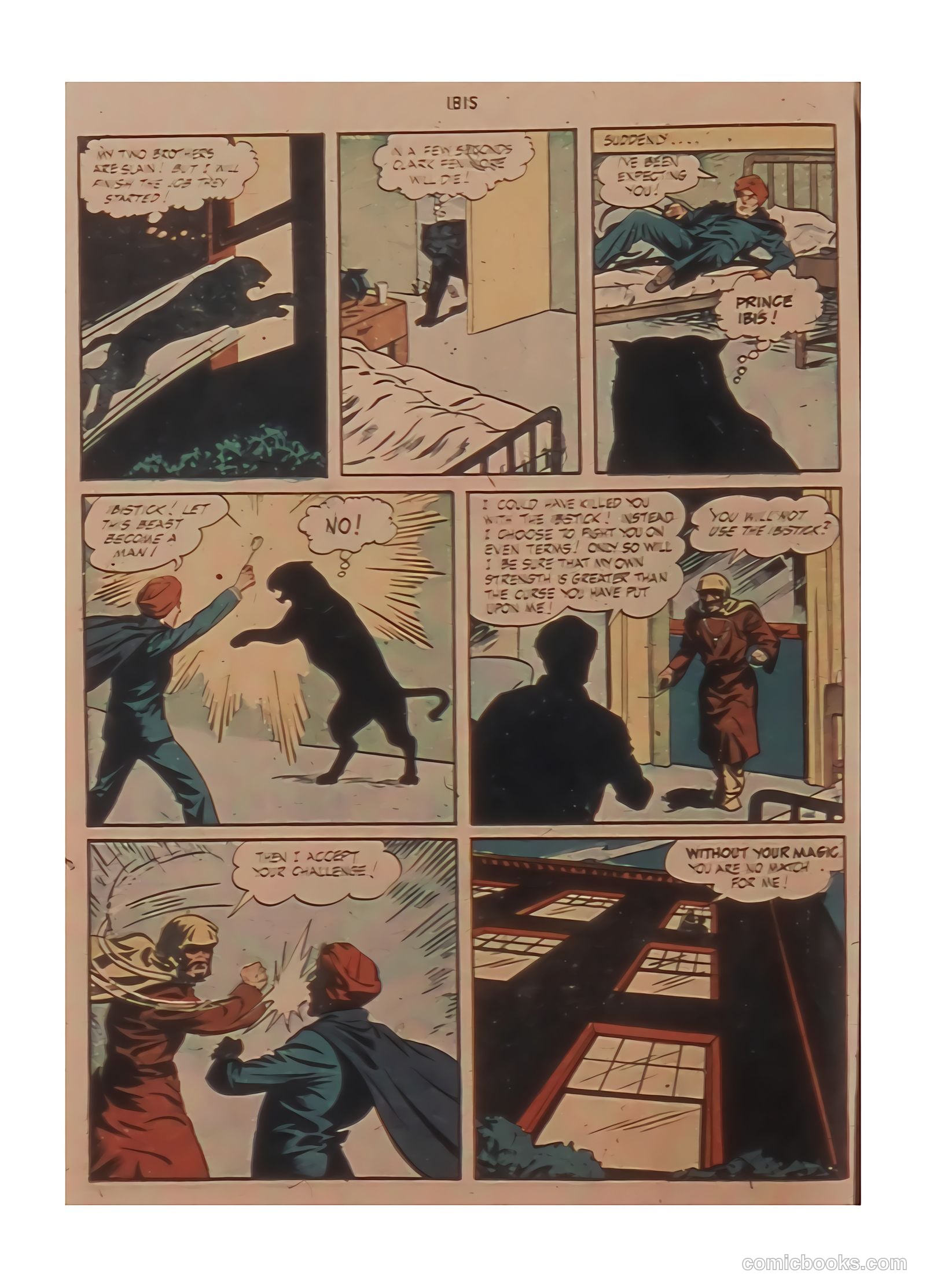 Ibis #3 — page 14 of 36