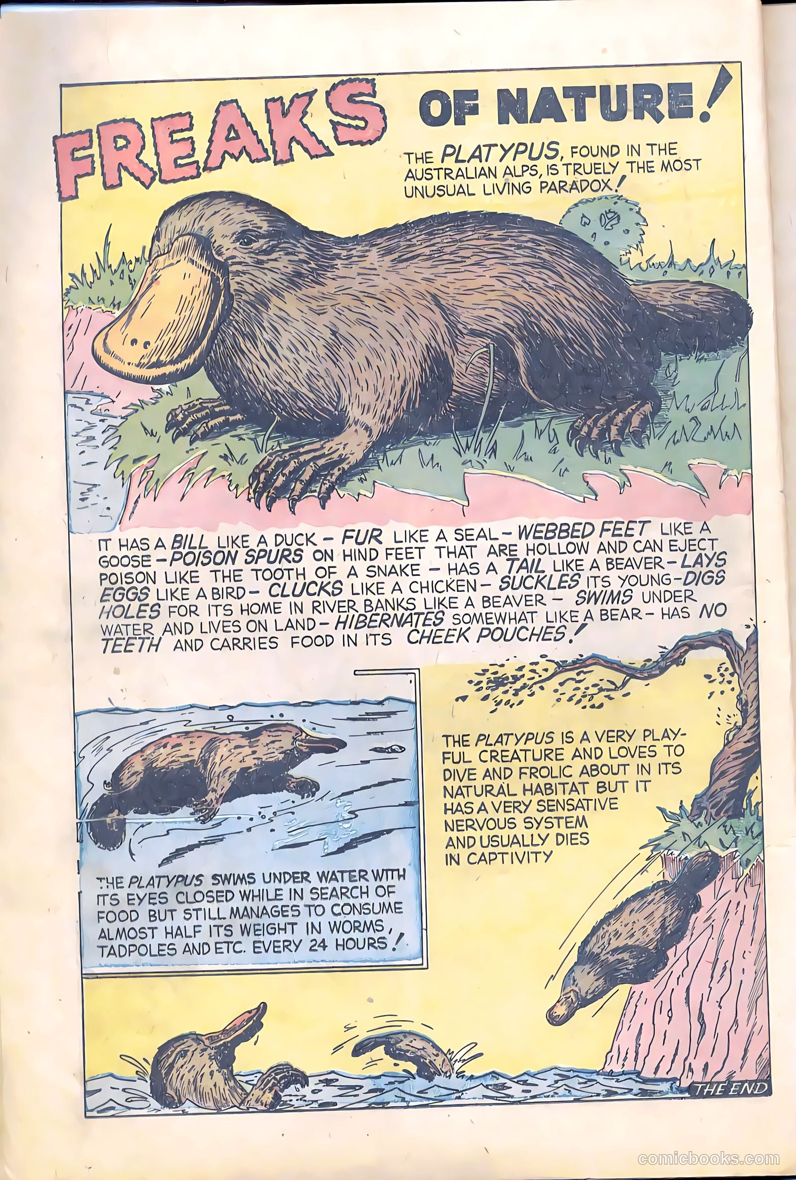 Terrors of the Jungle #1 — page 12 of 32
