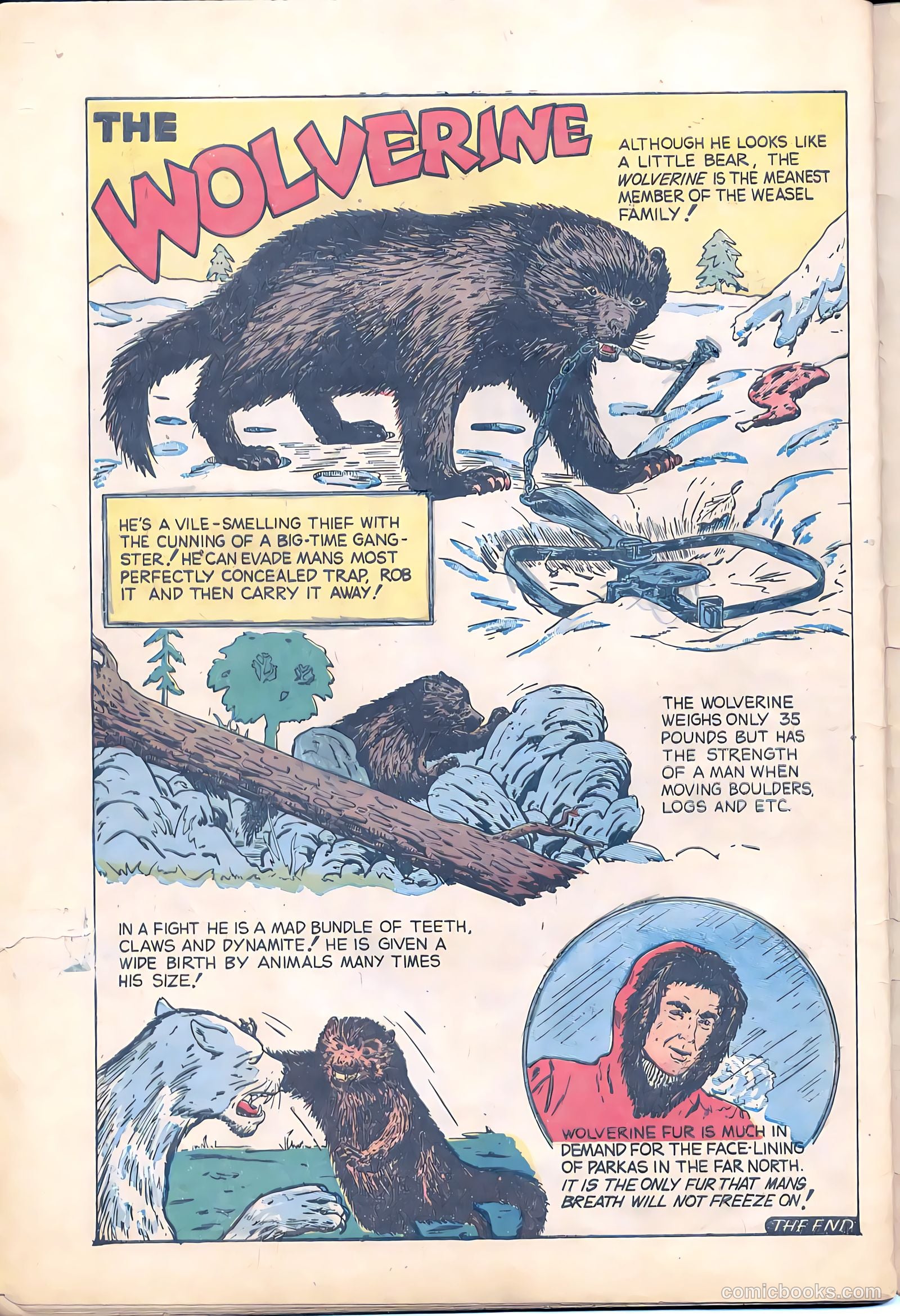 Terrors of the Jungle #1 — page 32 of 32