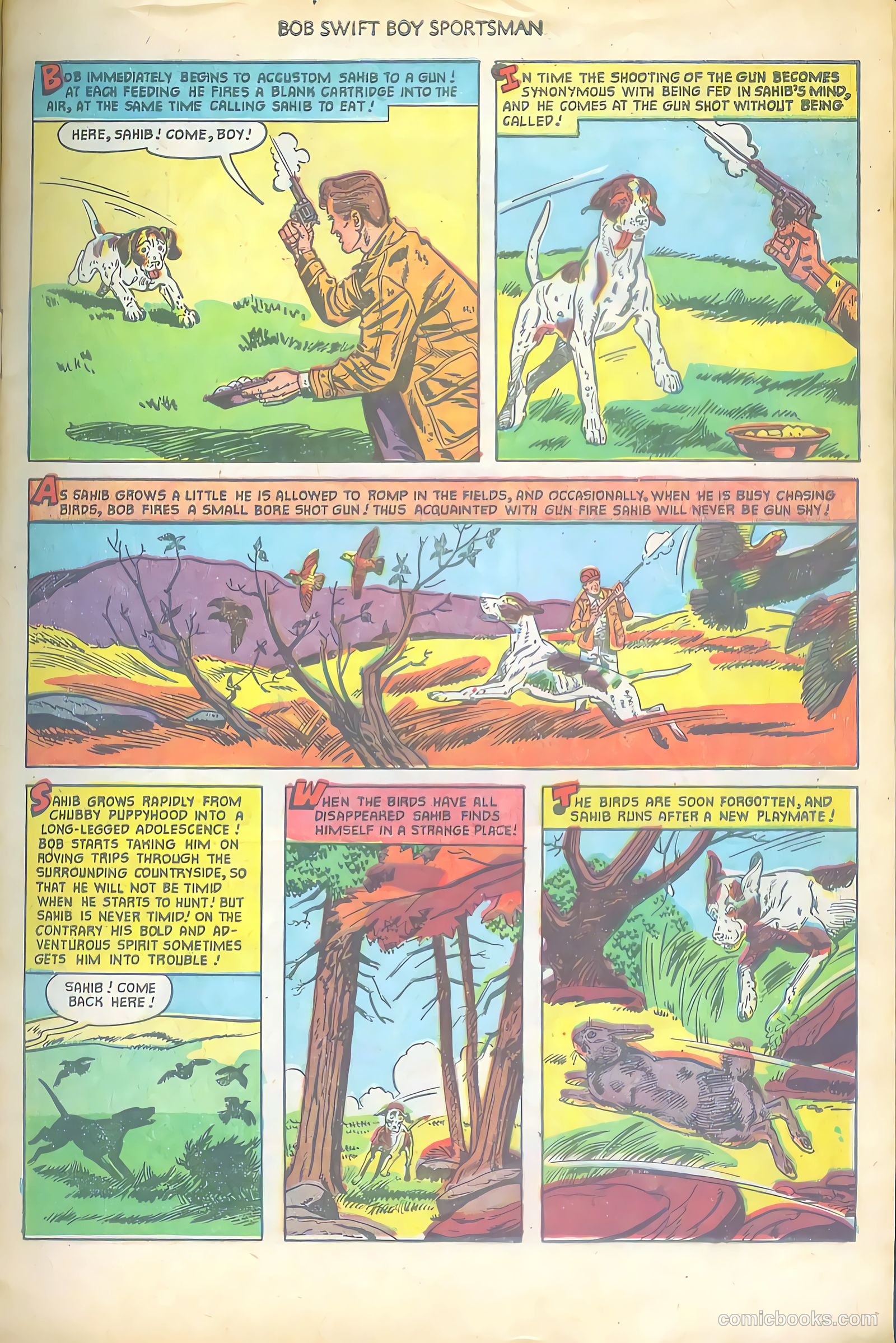 Bob Swift, Boy Sportsman #4 — page 7 of 36