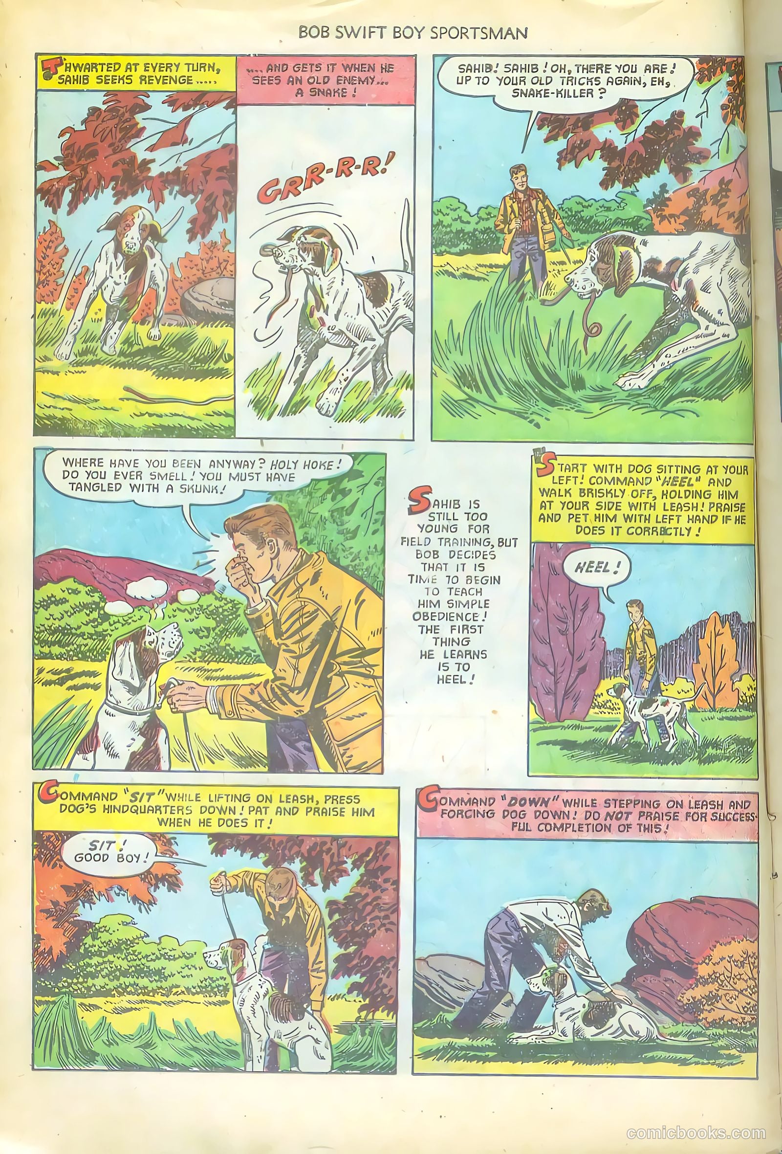 Bob Swift, Boy Sportsman #4 — page 10 of 36