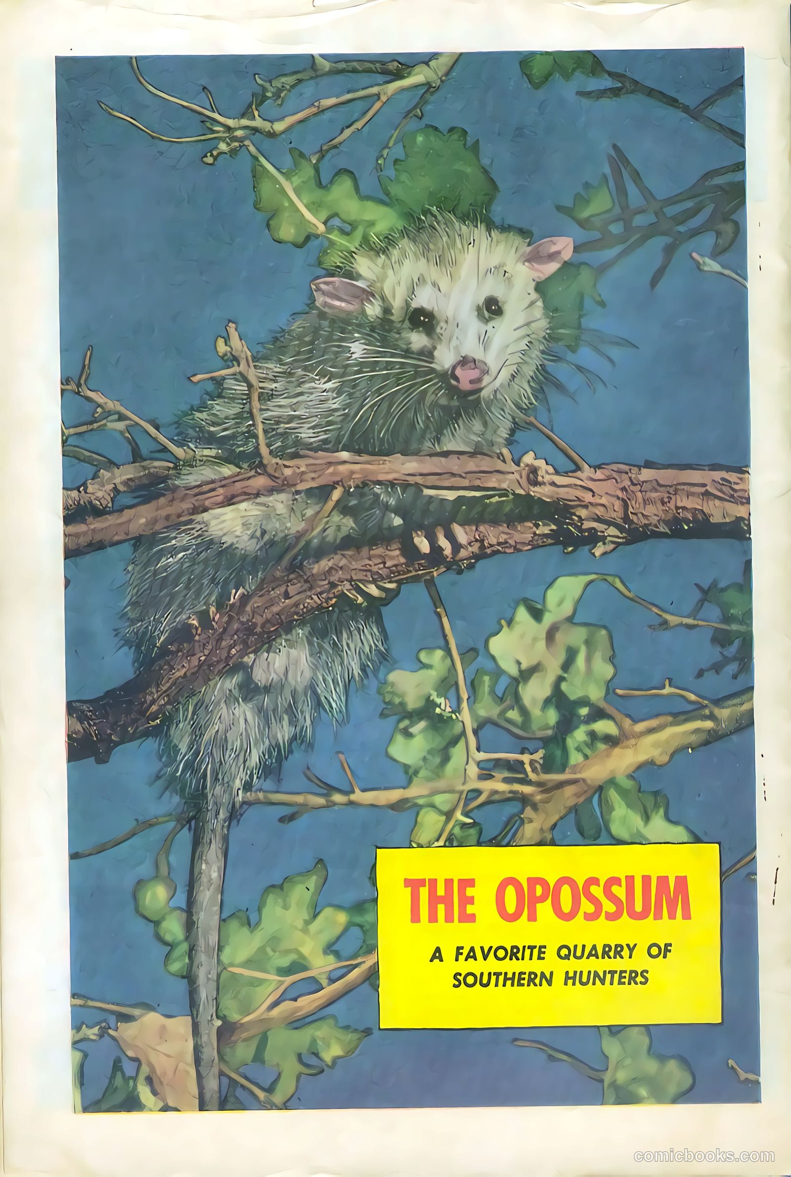 Bob Swift, Boy Sportsman #4 — page 36 of 36