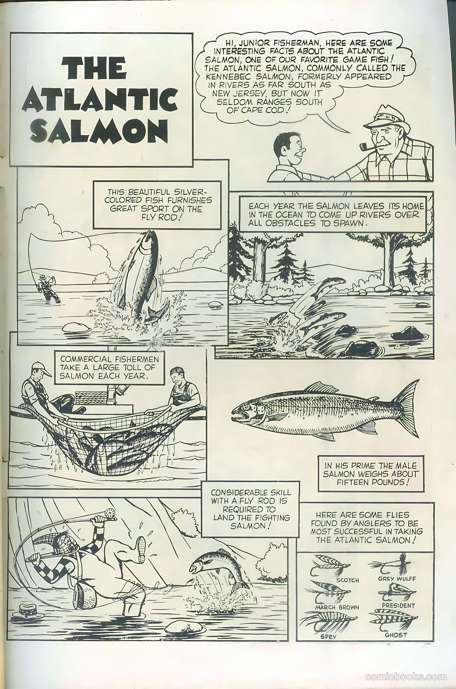 Bob Swift, Boy Sportsman #1 — page 35 of 36