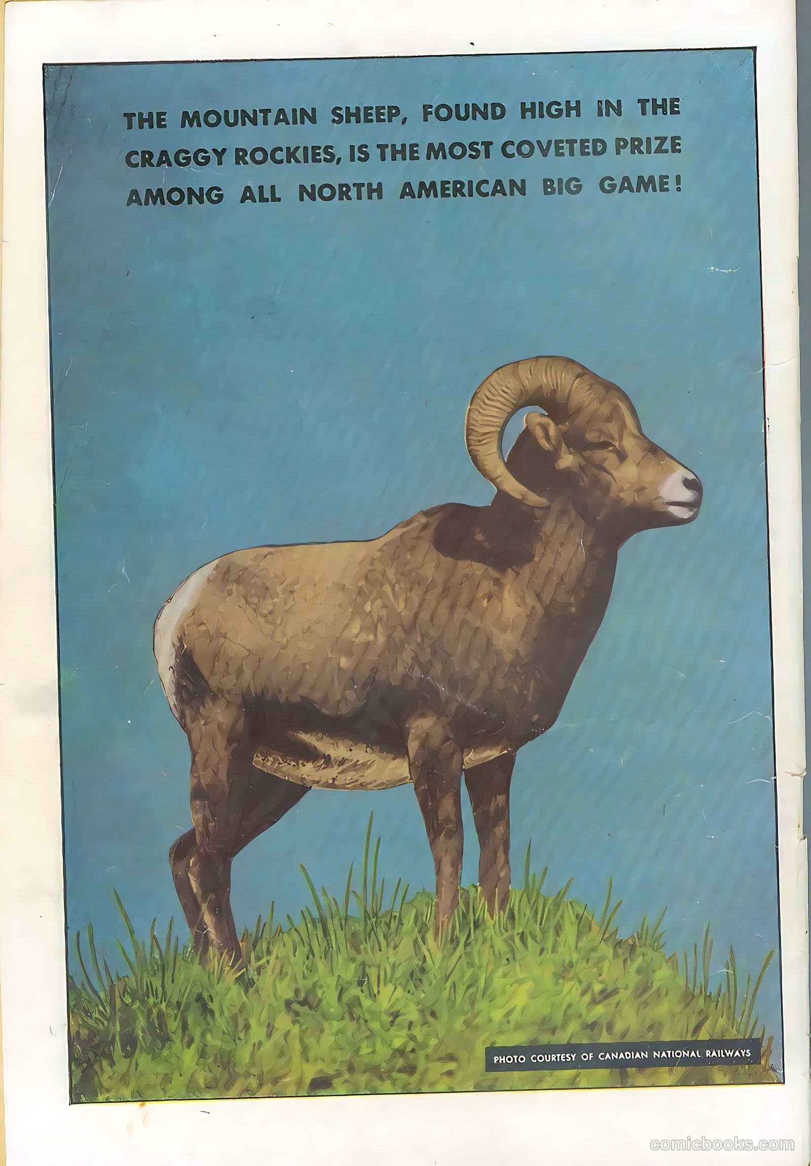 Bob Swift, Boy Sportsman #1 — page 36 of 36