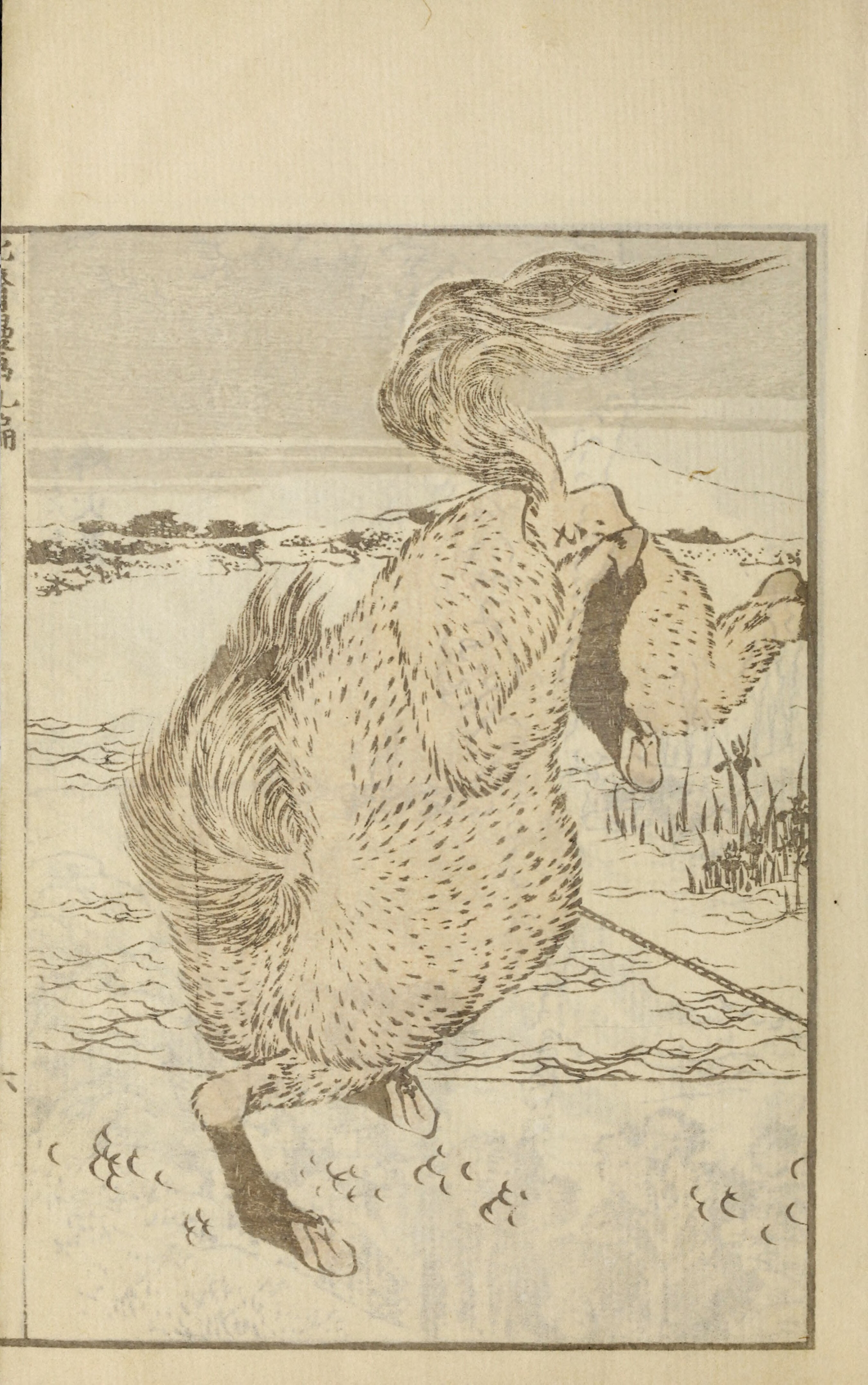 Hokusai Manga #Vol. 9 — page 15 of 40