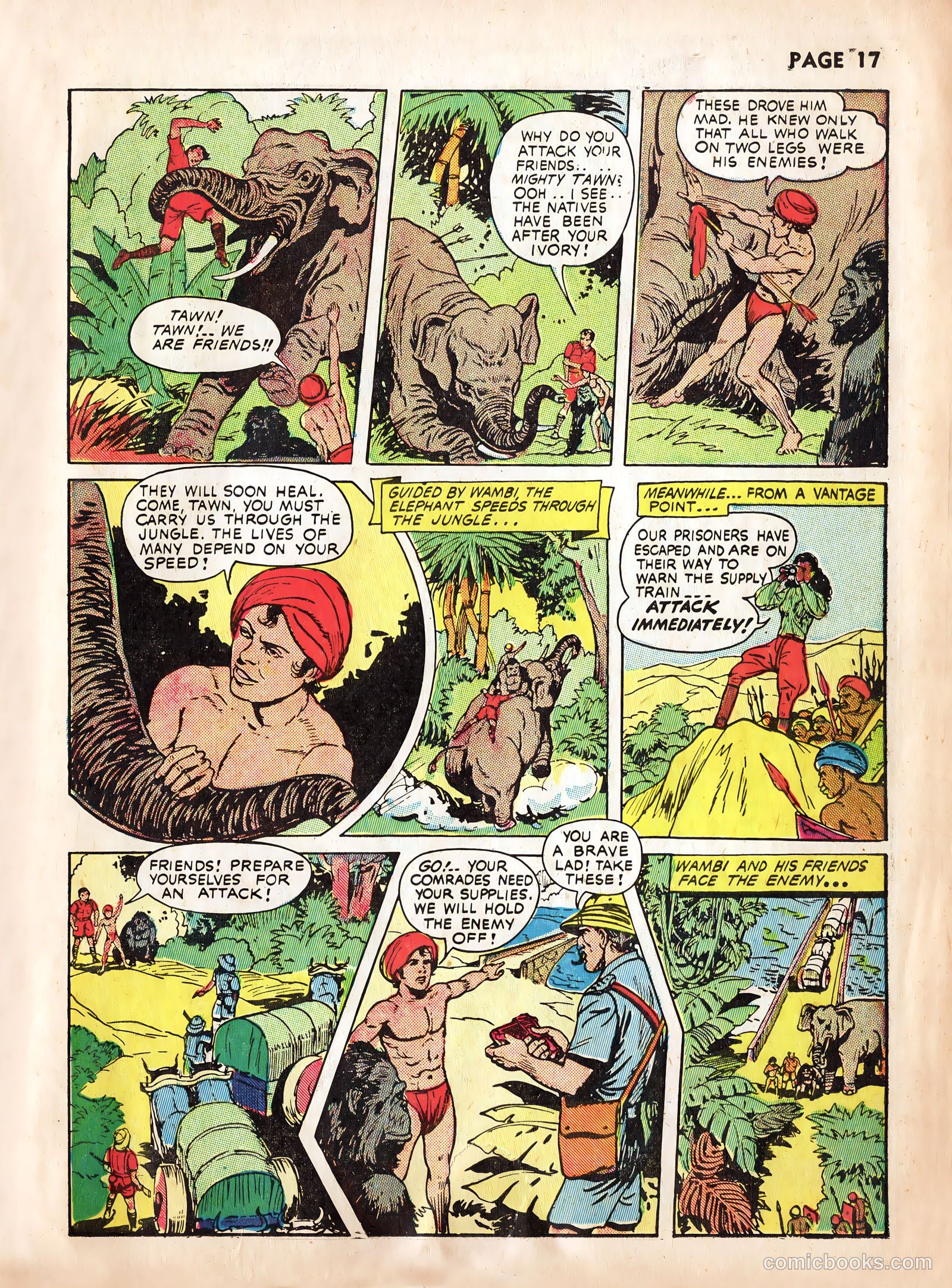 Wambi #2 — page 19 of 68