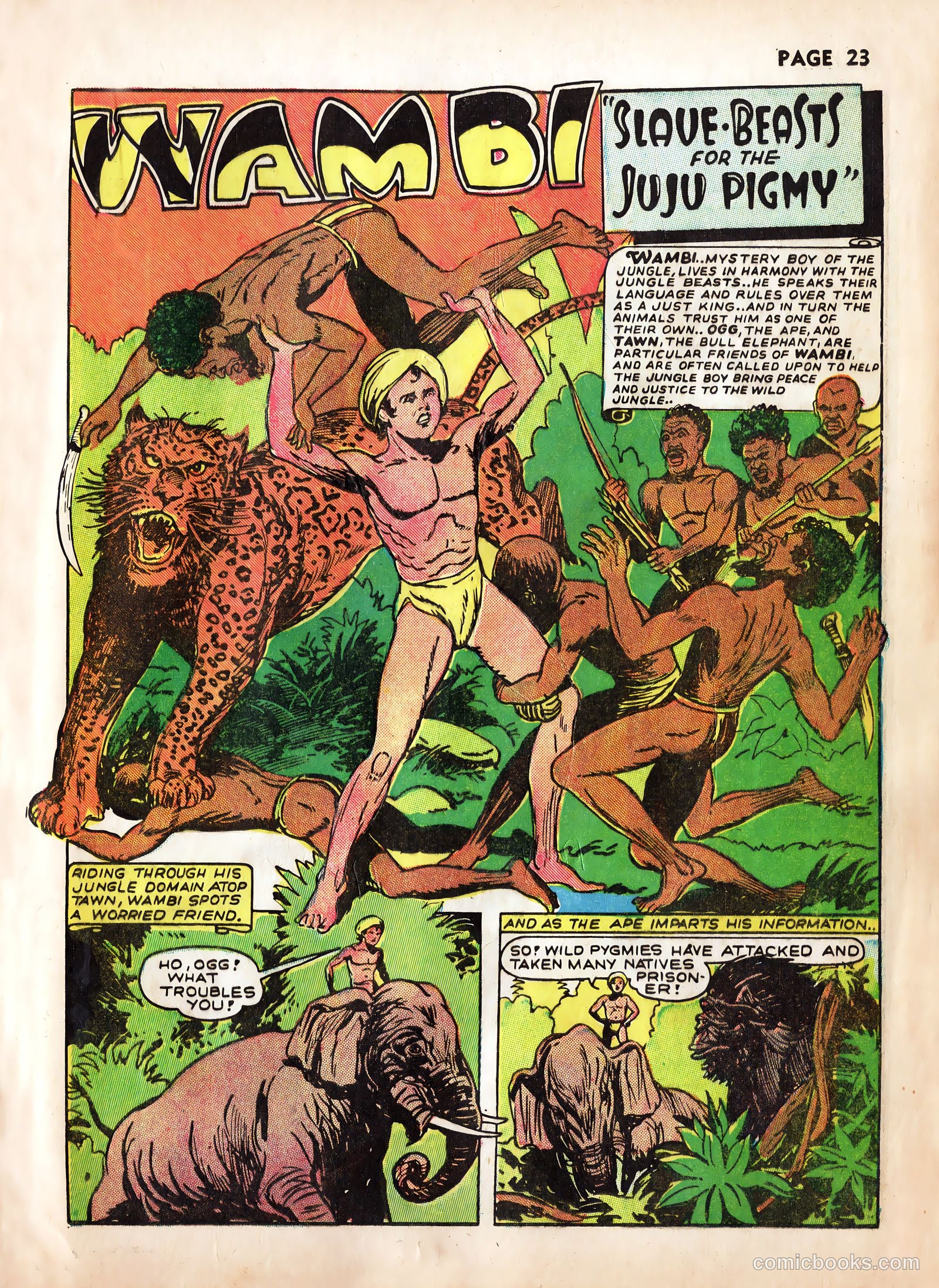 Wambi #2 — page 25 of 68